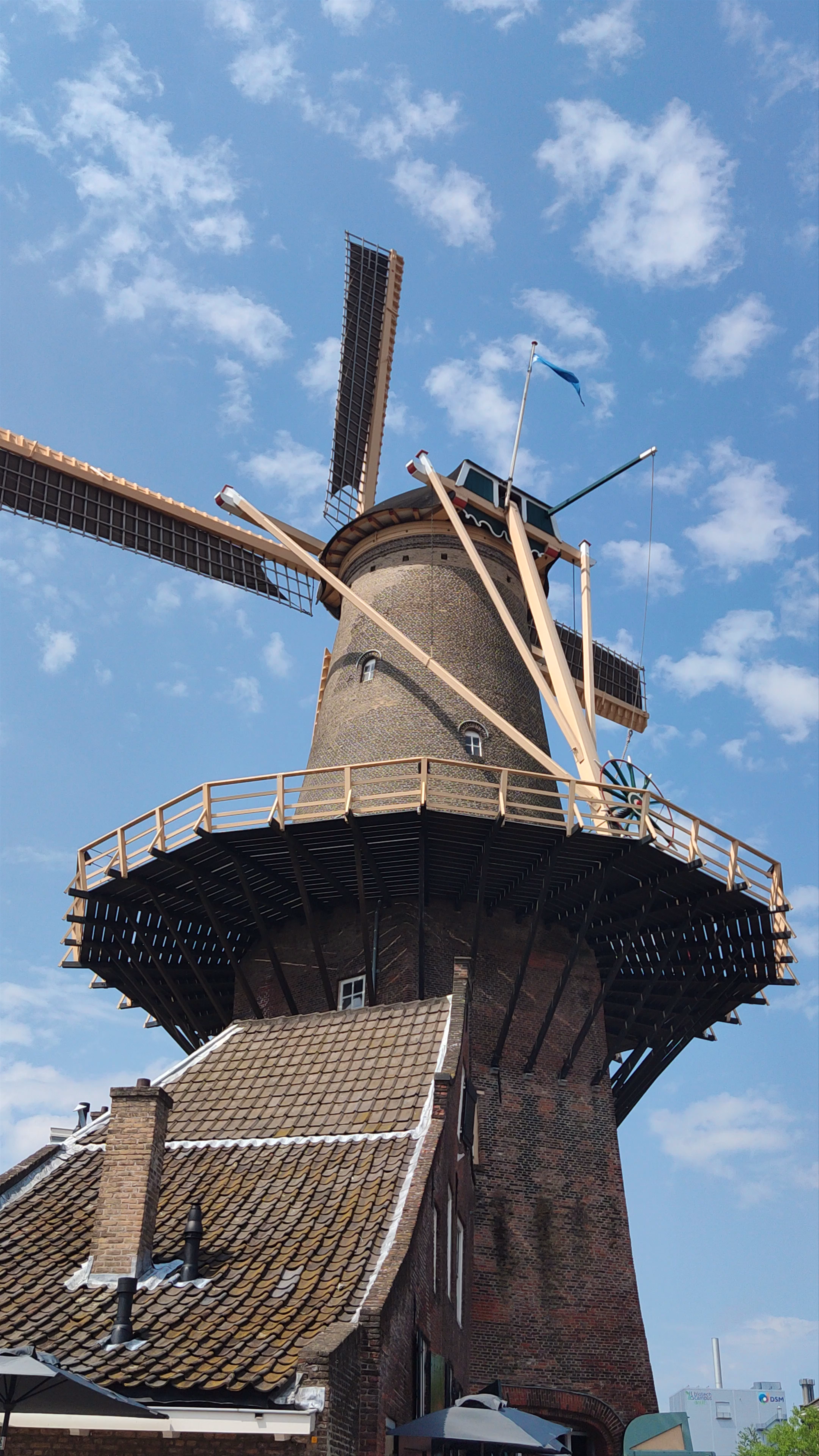 Delft Windmill de Roos