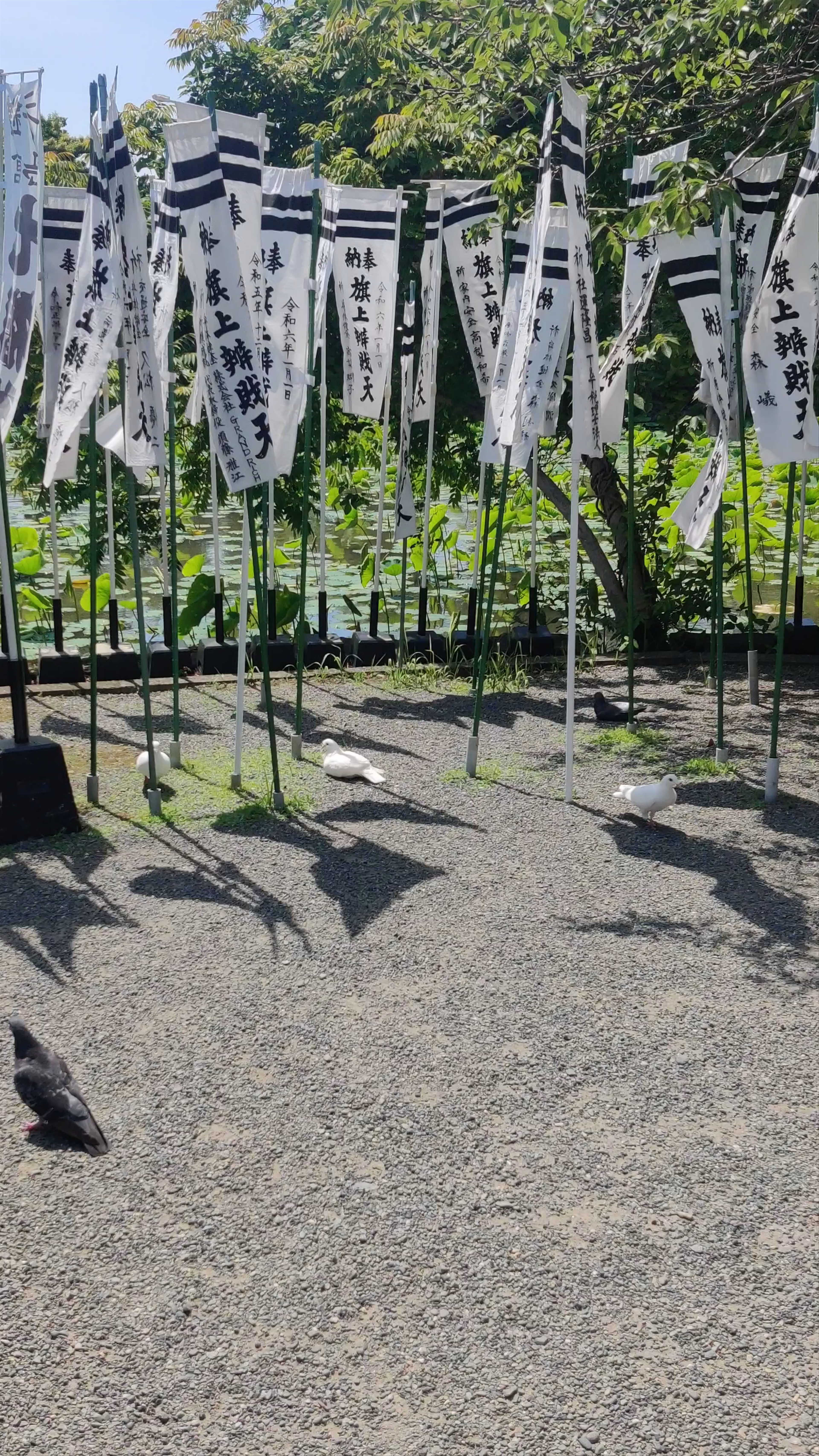 Genji Pond