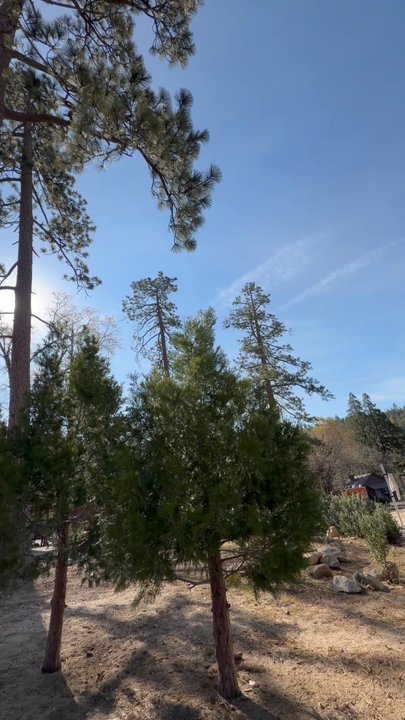 Idyllwild Inn - Hotels Near Me - Idyllwild, California