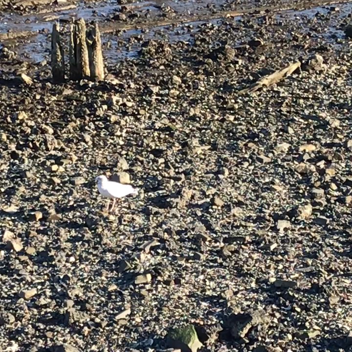 Cos Cob Park - Parks Near Me - Greenwich, Connecticut