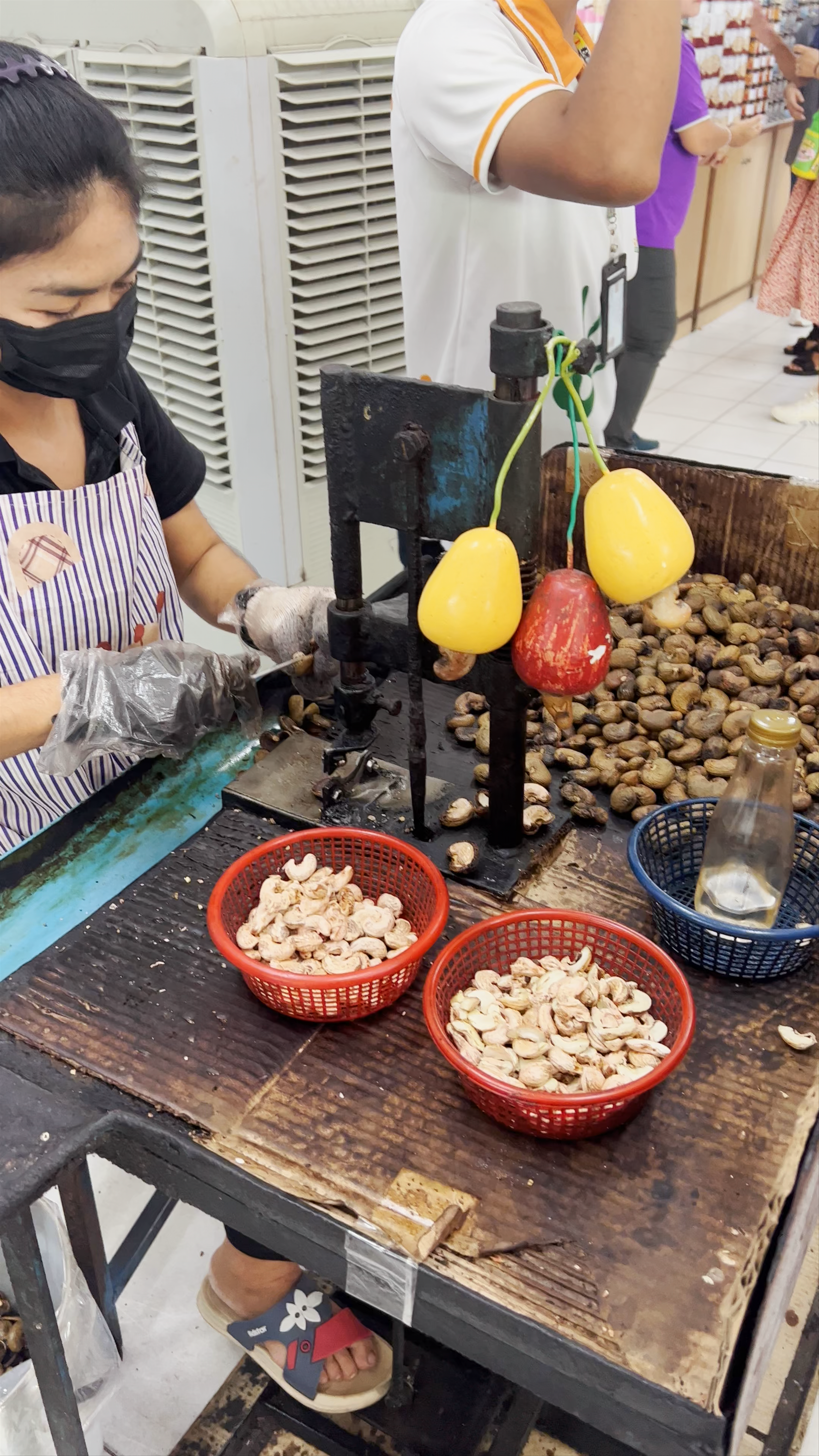 Cashew nut factory