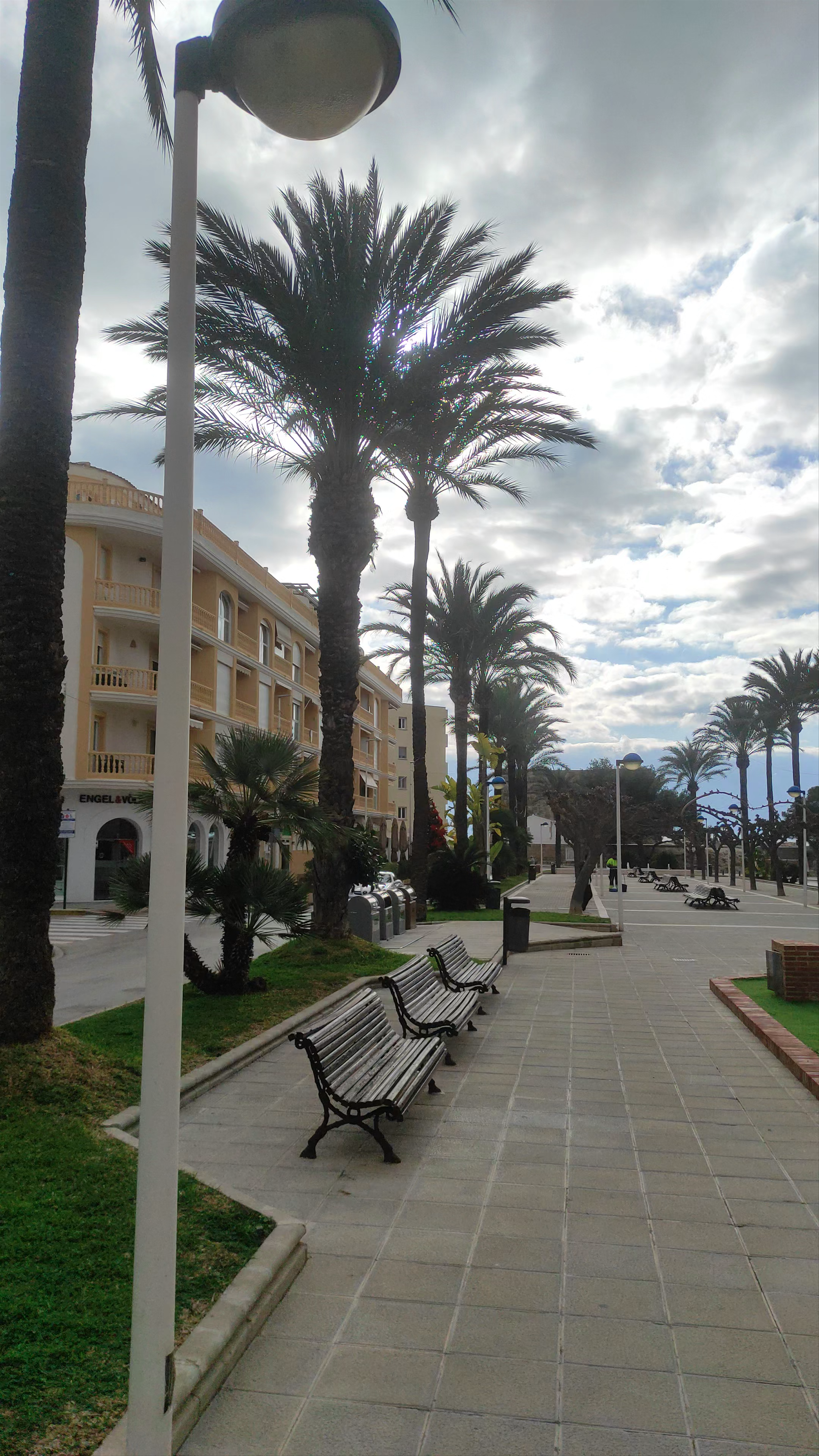 Aveniguda de la Paz
