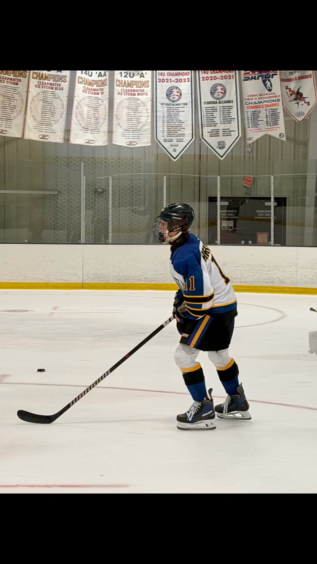 Nixon Hergott: Unforgettable Highlights from 16U AA Tournament