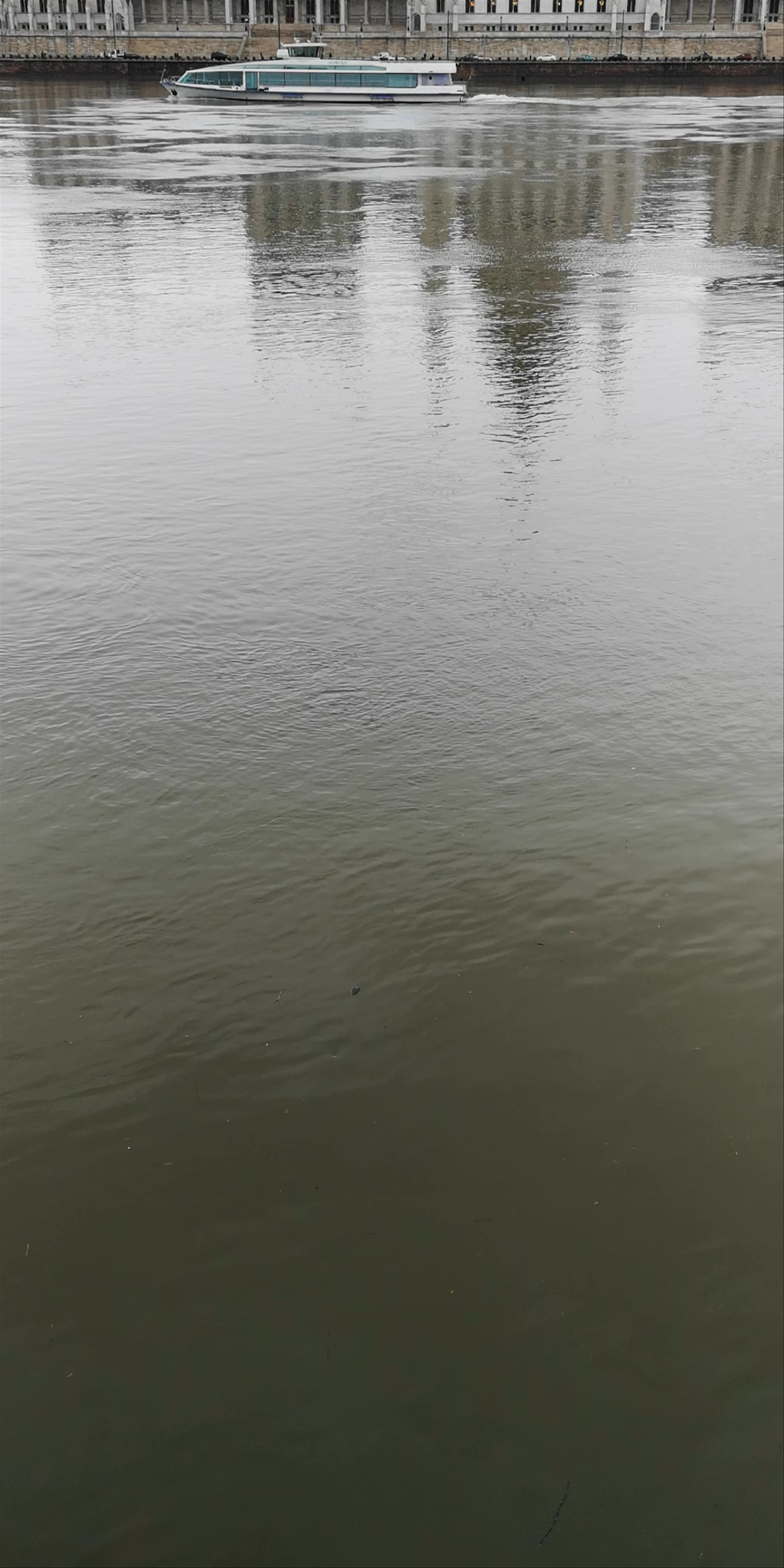 Hungarian Parliament Building