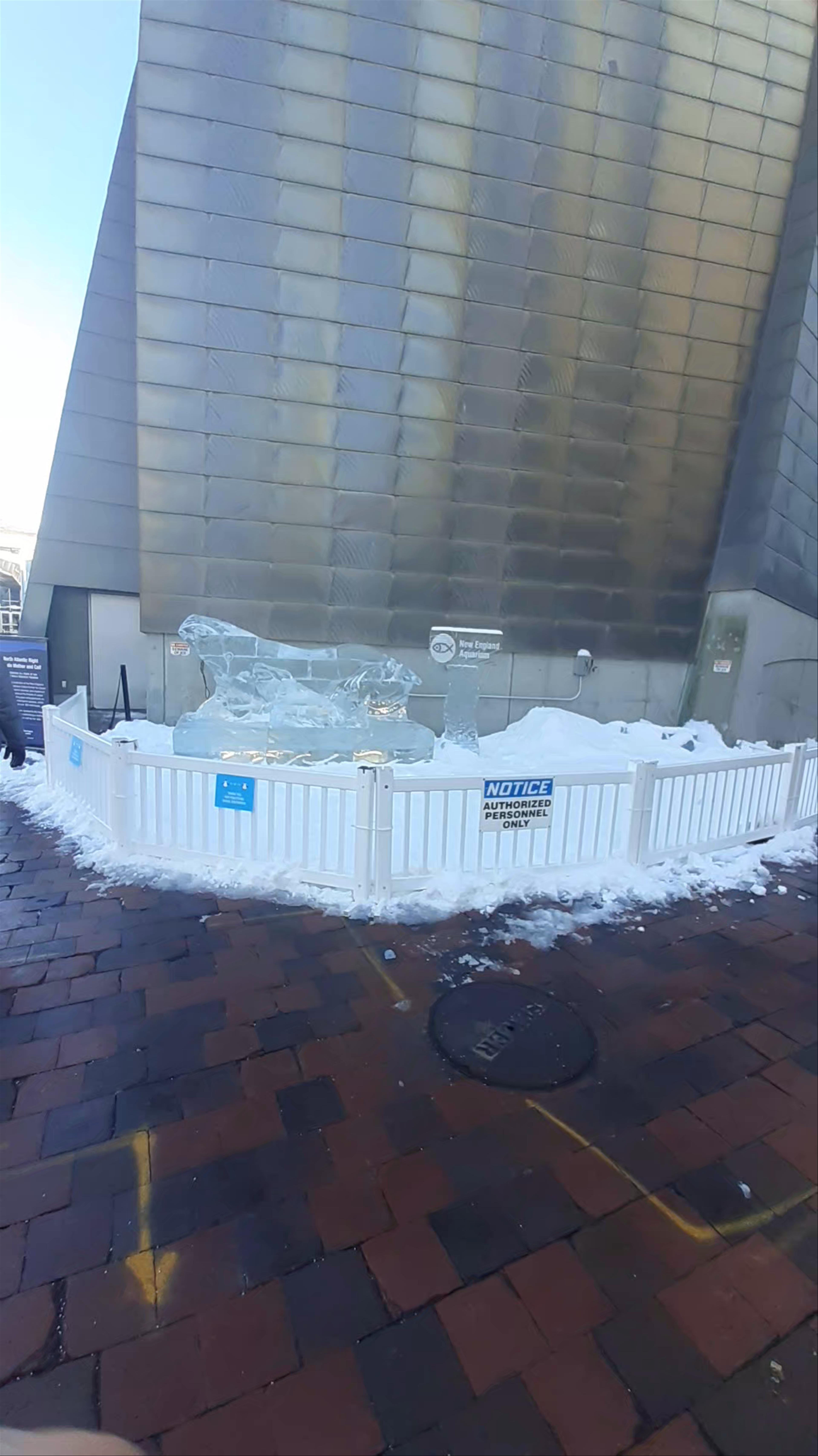 Boston Aquarium Ice Sculpture and Winter Urban Walk