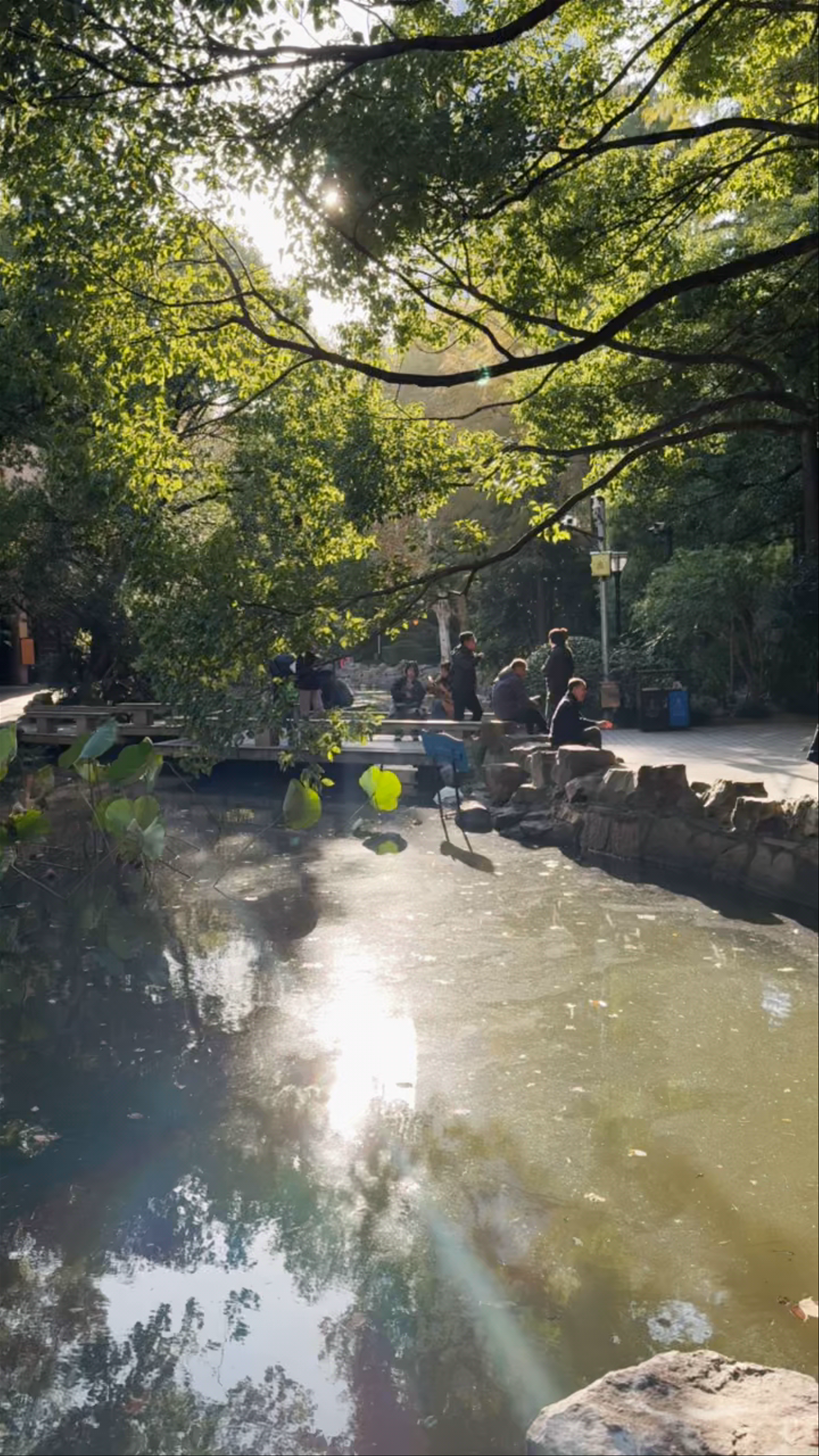 A Serene Afternoon at People's Park, Shanghai