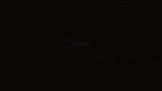 The Family and The Full Armor of God