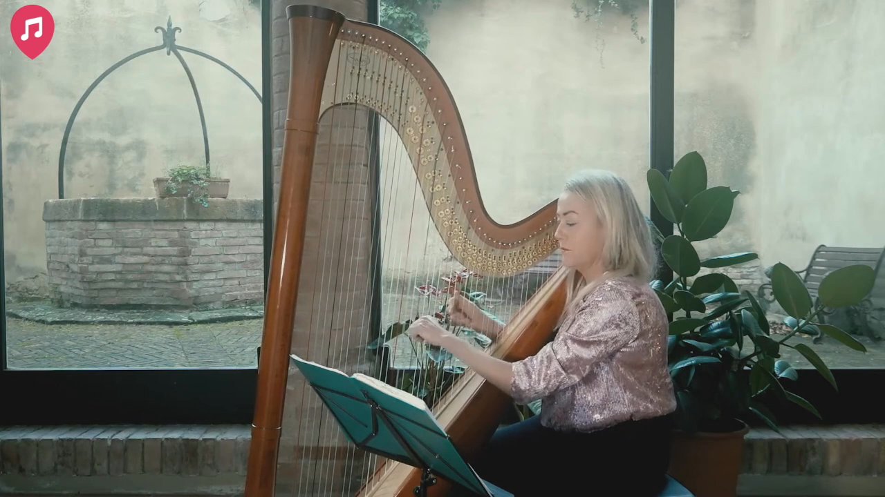 The Siena Harpist & Singer - Nothing Else Matters - video