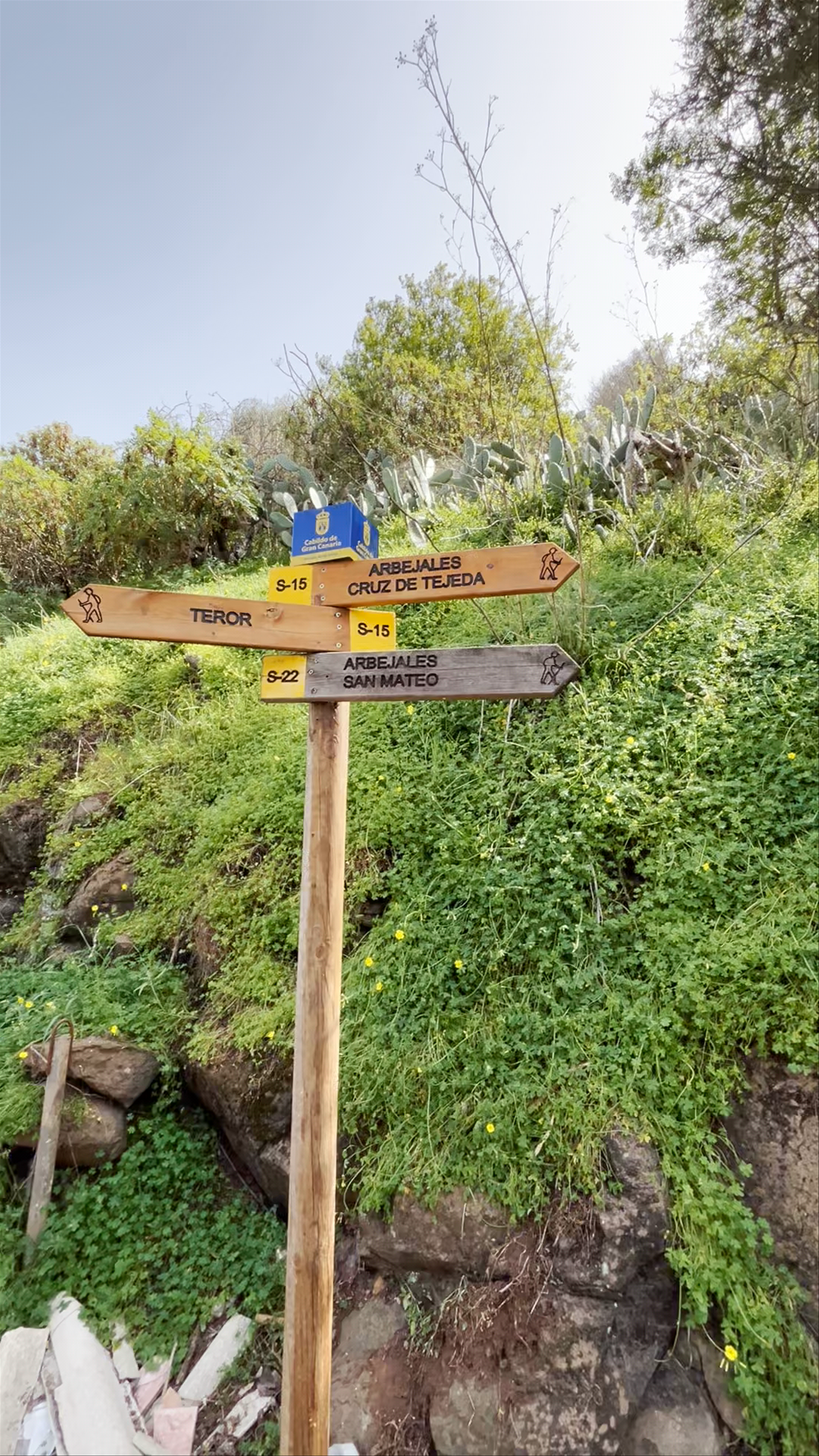 Fuente Agria de Teror