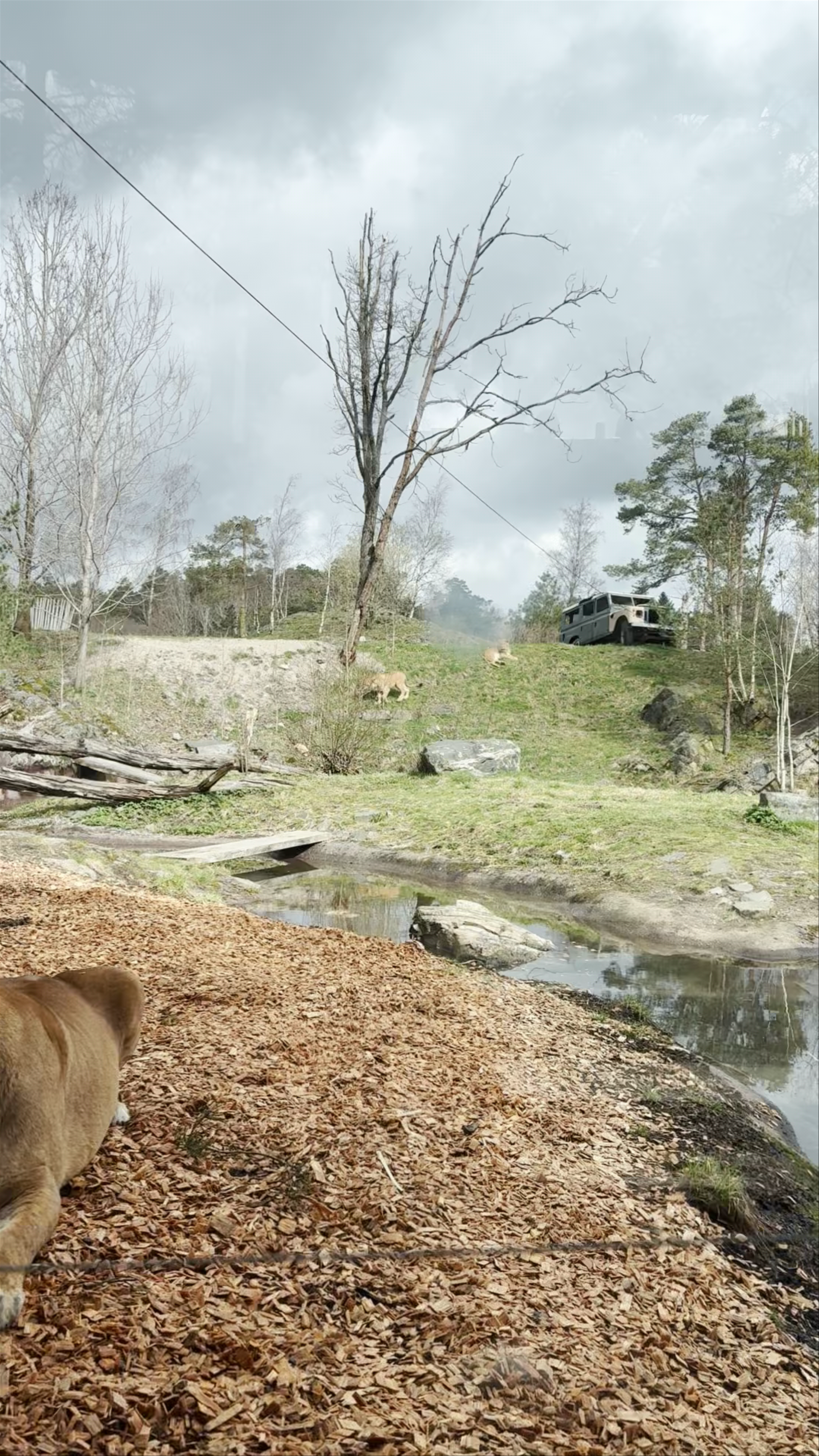 A Serene Day at Kristiansand Zoo and Amusement Park
