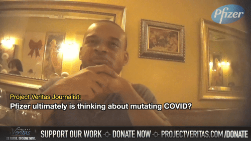 Video Thumbnail Loop