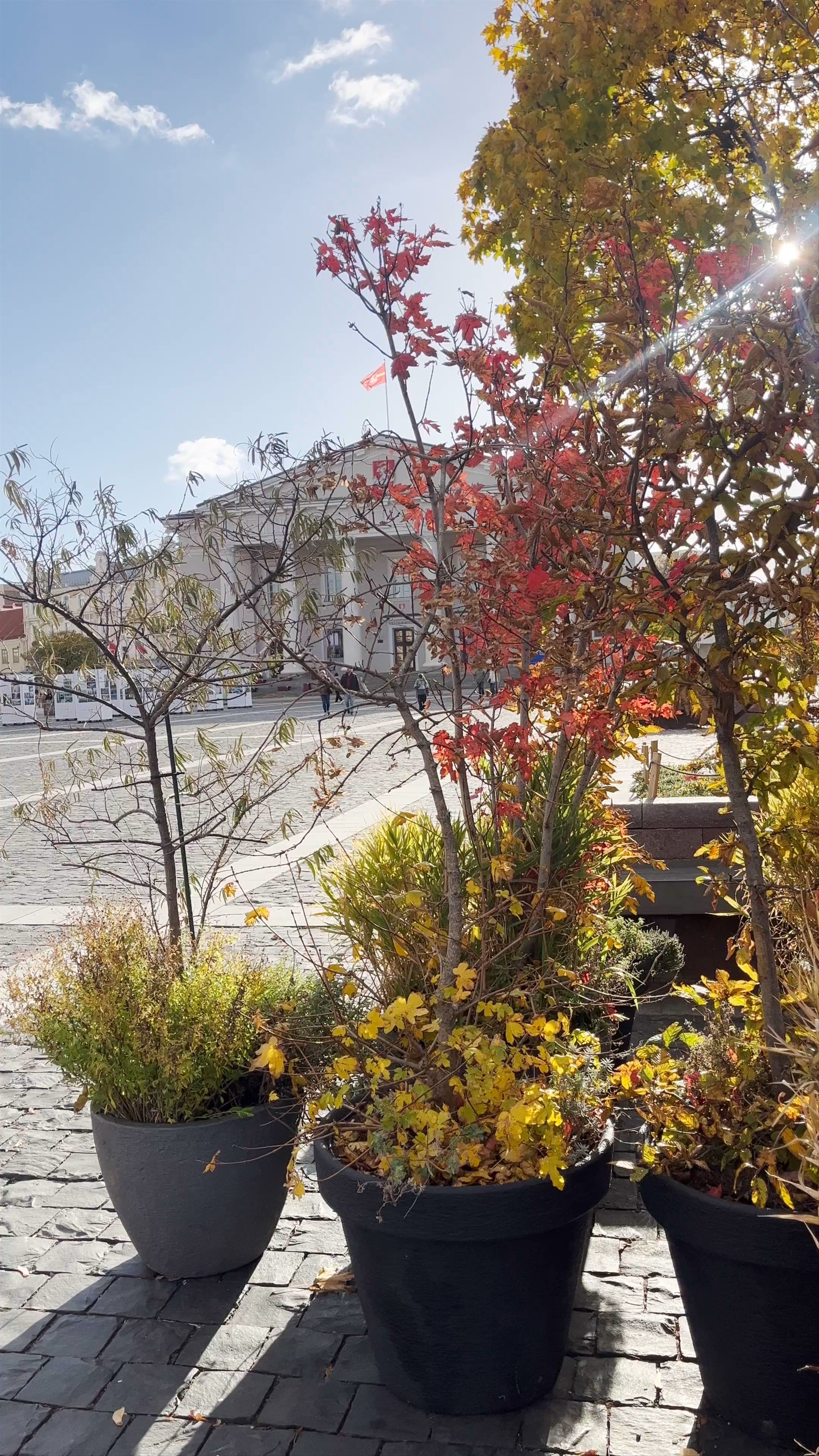 Town Hall Square
