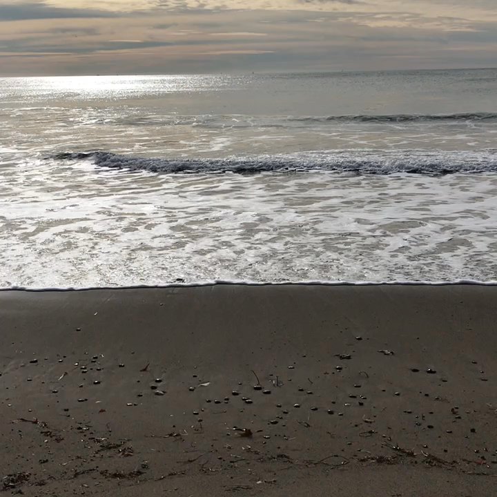 Kelham Beach - Such a lovely beach! - Beaches Near Me - Point Reyes Station, California