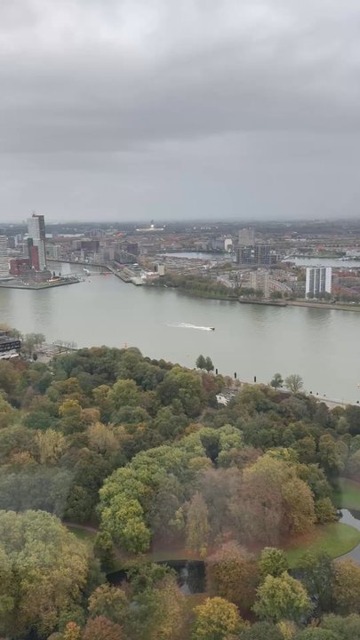 Euromast - Brasseries Near Me - Rotterdam, ZH