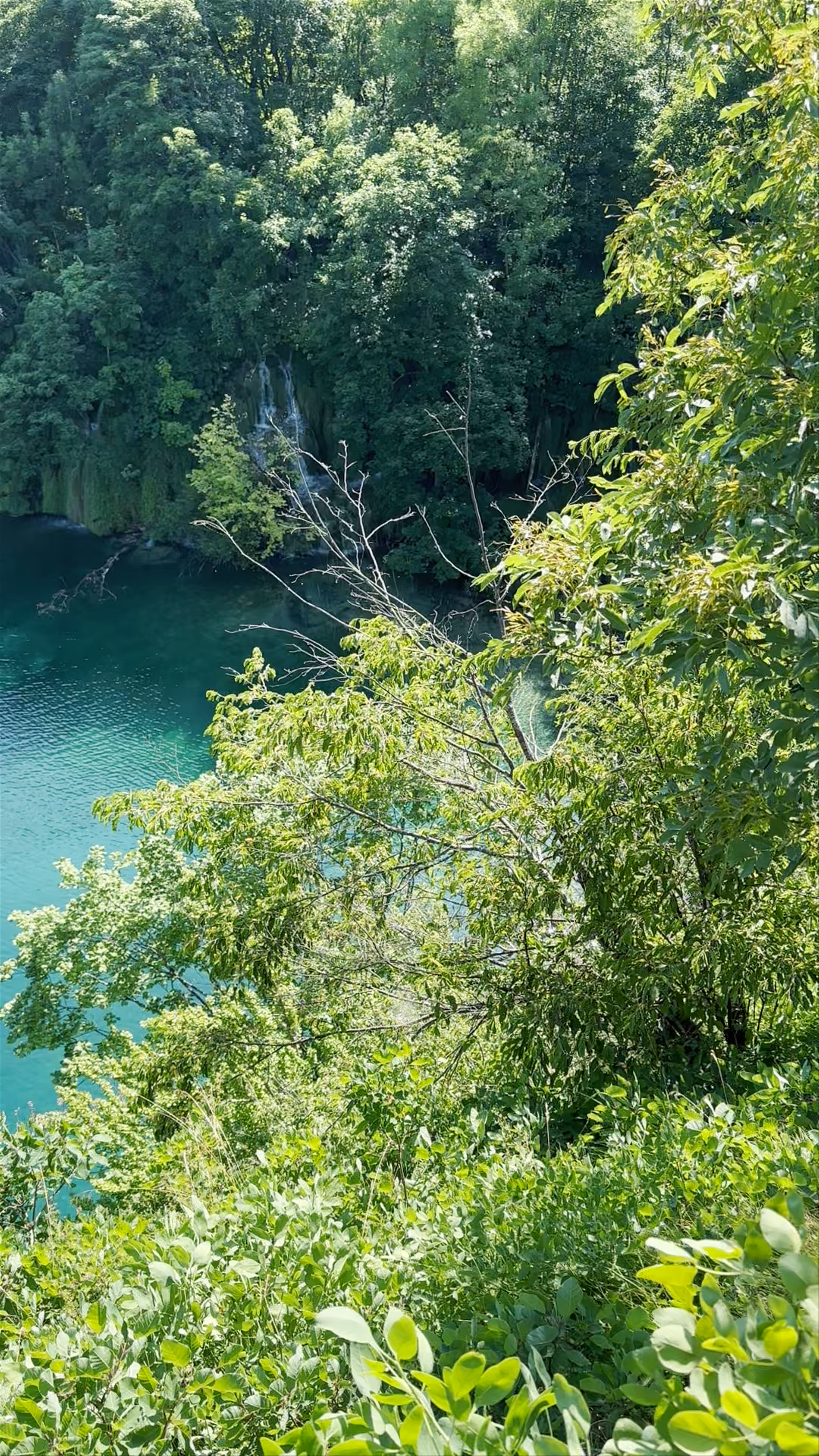 Breathtaking Views from Plitvice Lakes Panoramic Train Station ST3