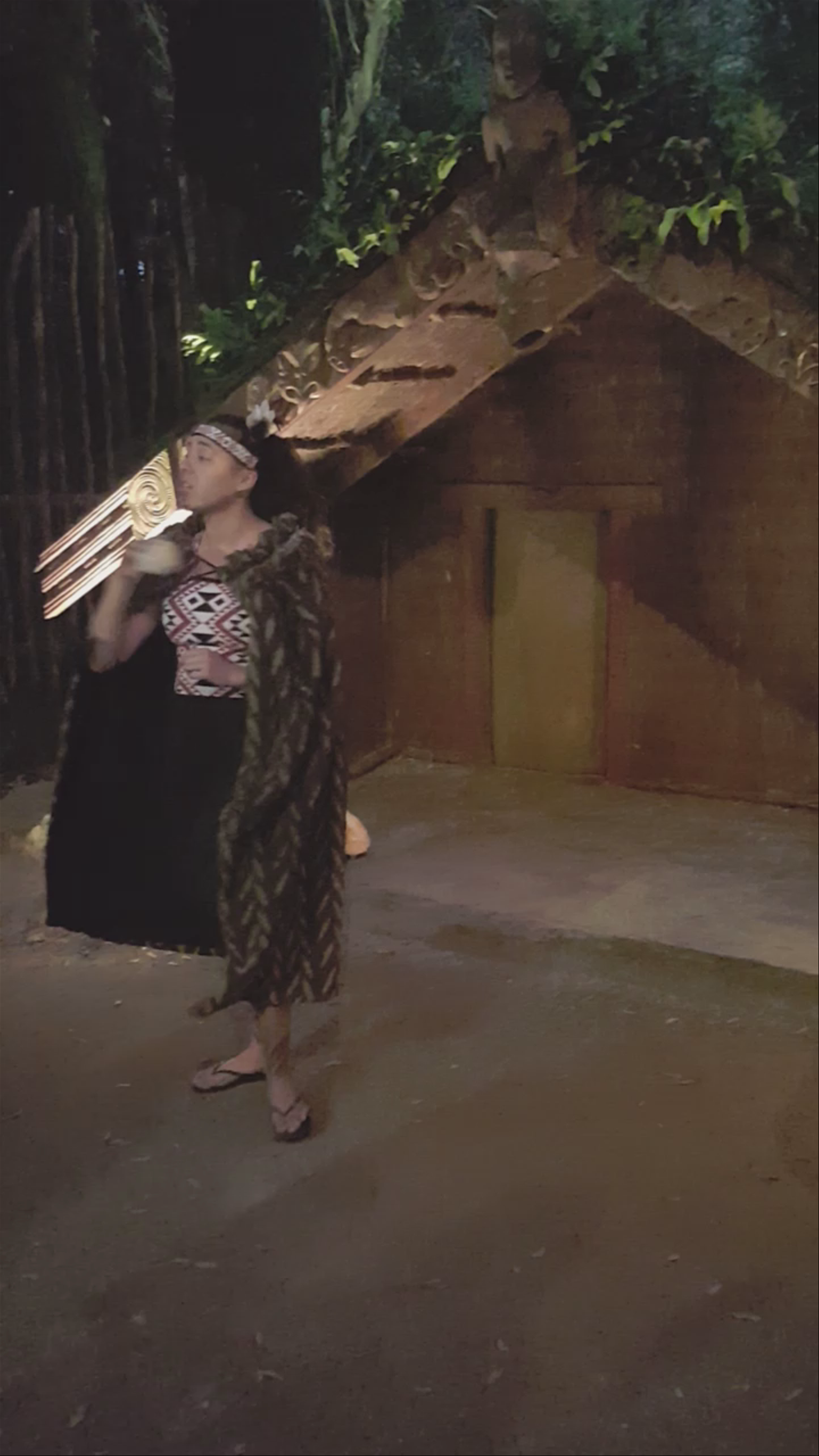 Te Pā Tū - The Gathering Place Hinemaru Street