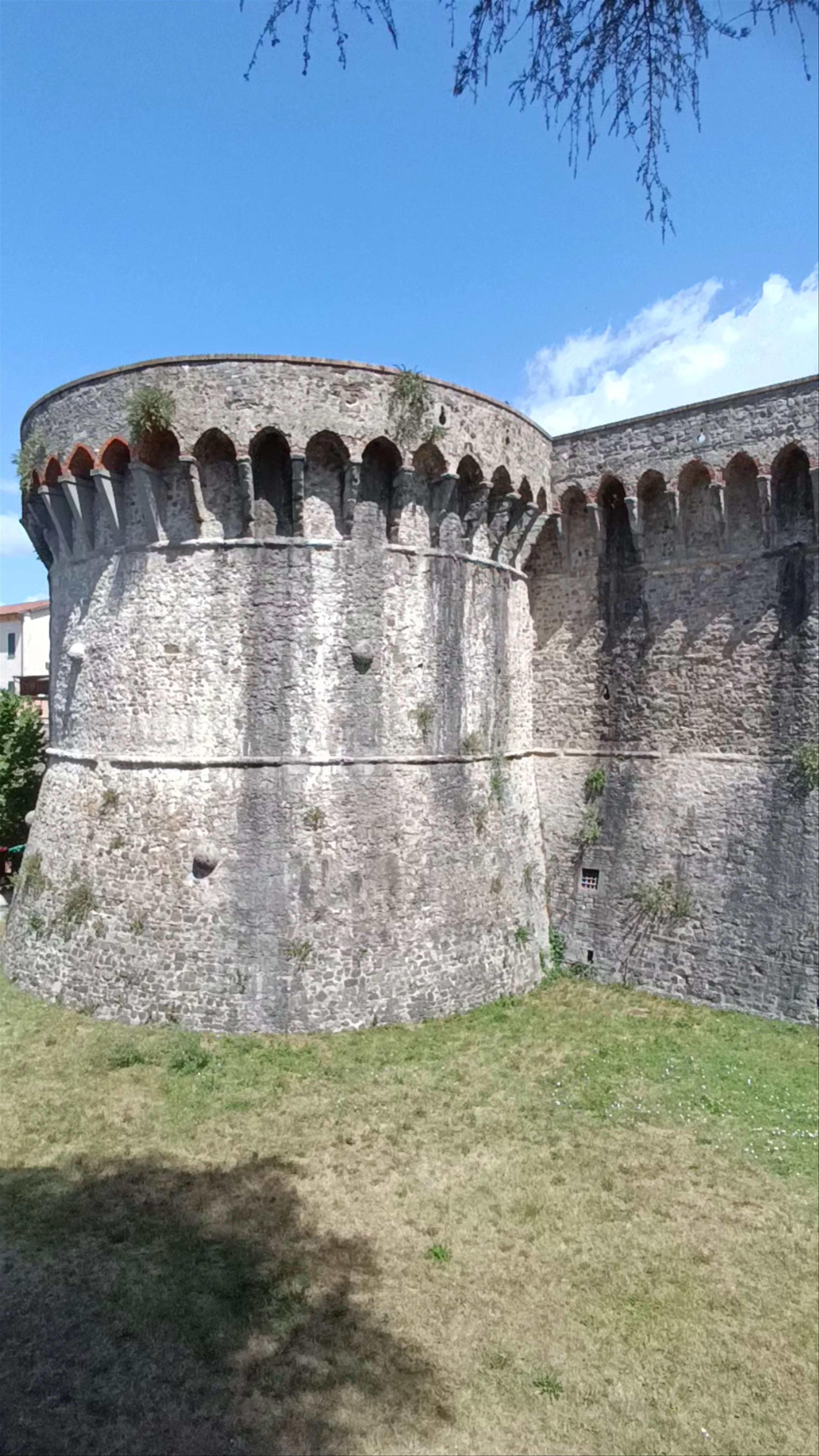 Sarzana