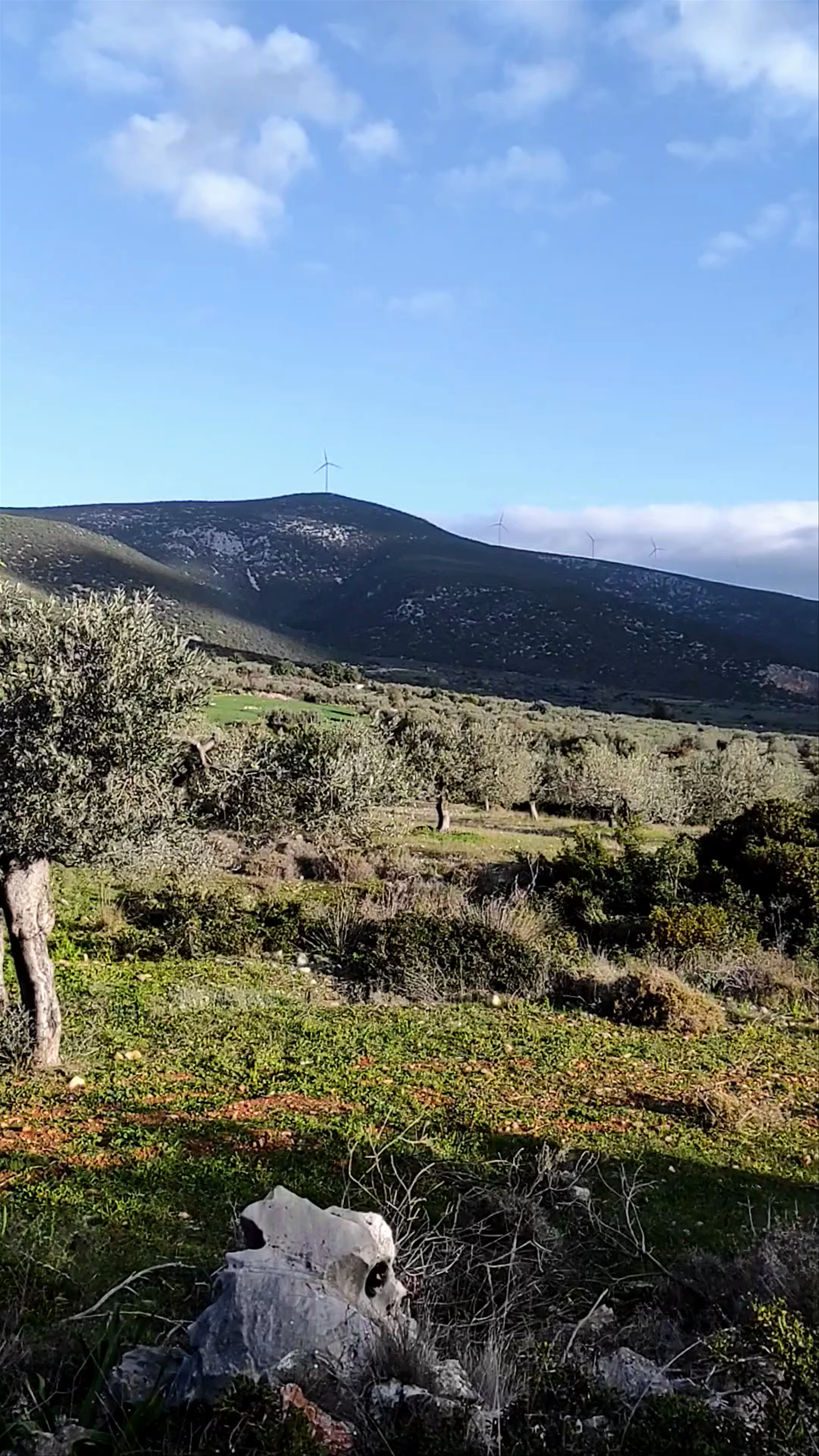 Διδυμα Αργολίδος