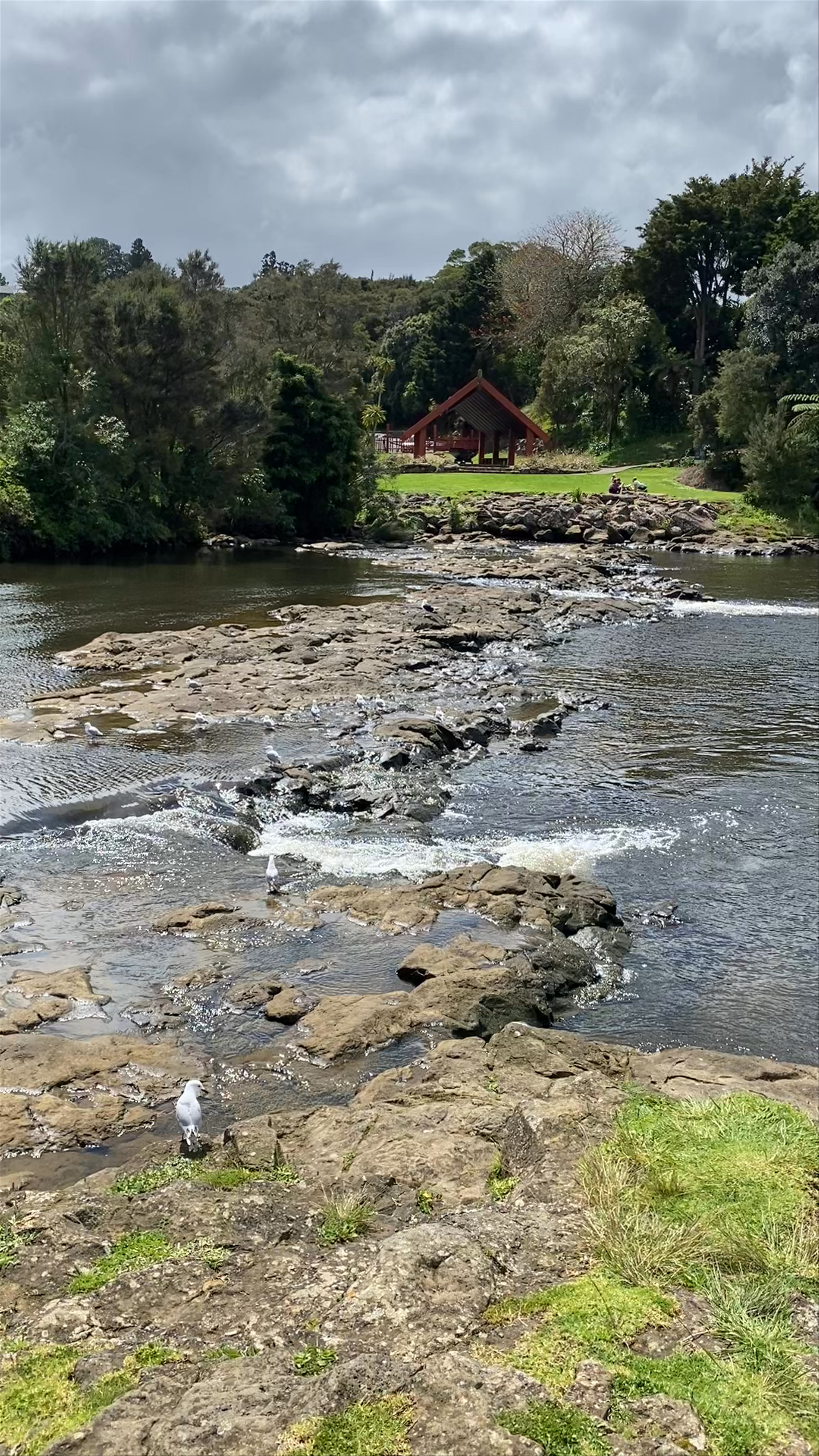 Kerikeri five waterfalls Kerikeri Road
