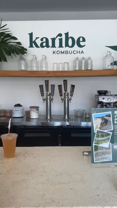 Karibe Kombucha - Kombucha Near Me - Rincon, Puerto Rico