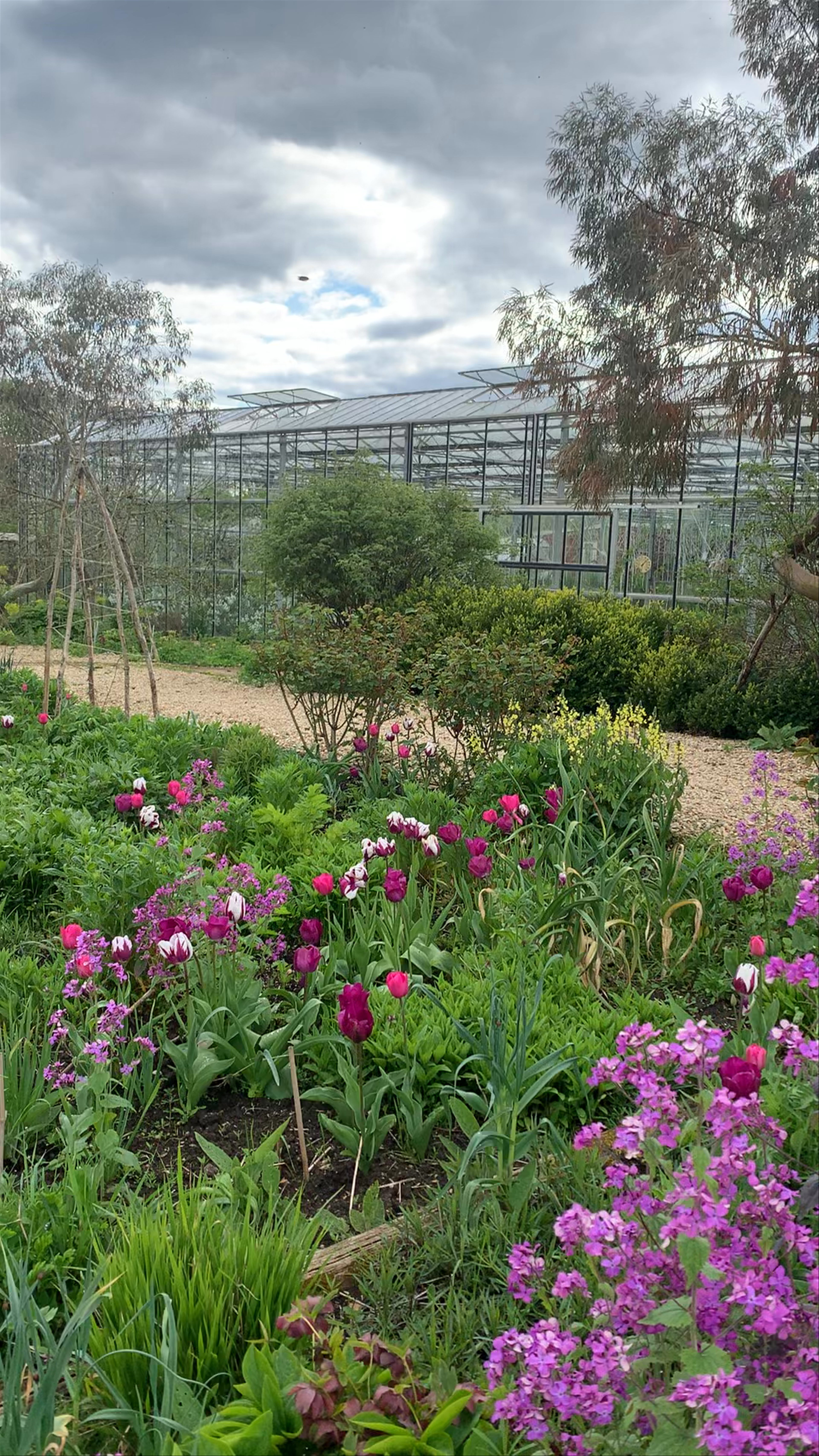 Worton Kitchen Garden