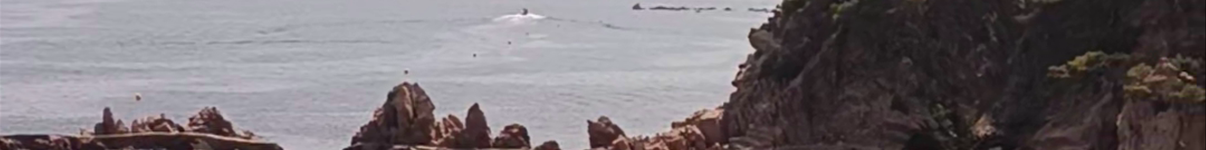 Tours & experiences in Sant Feliu de Guíxols