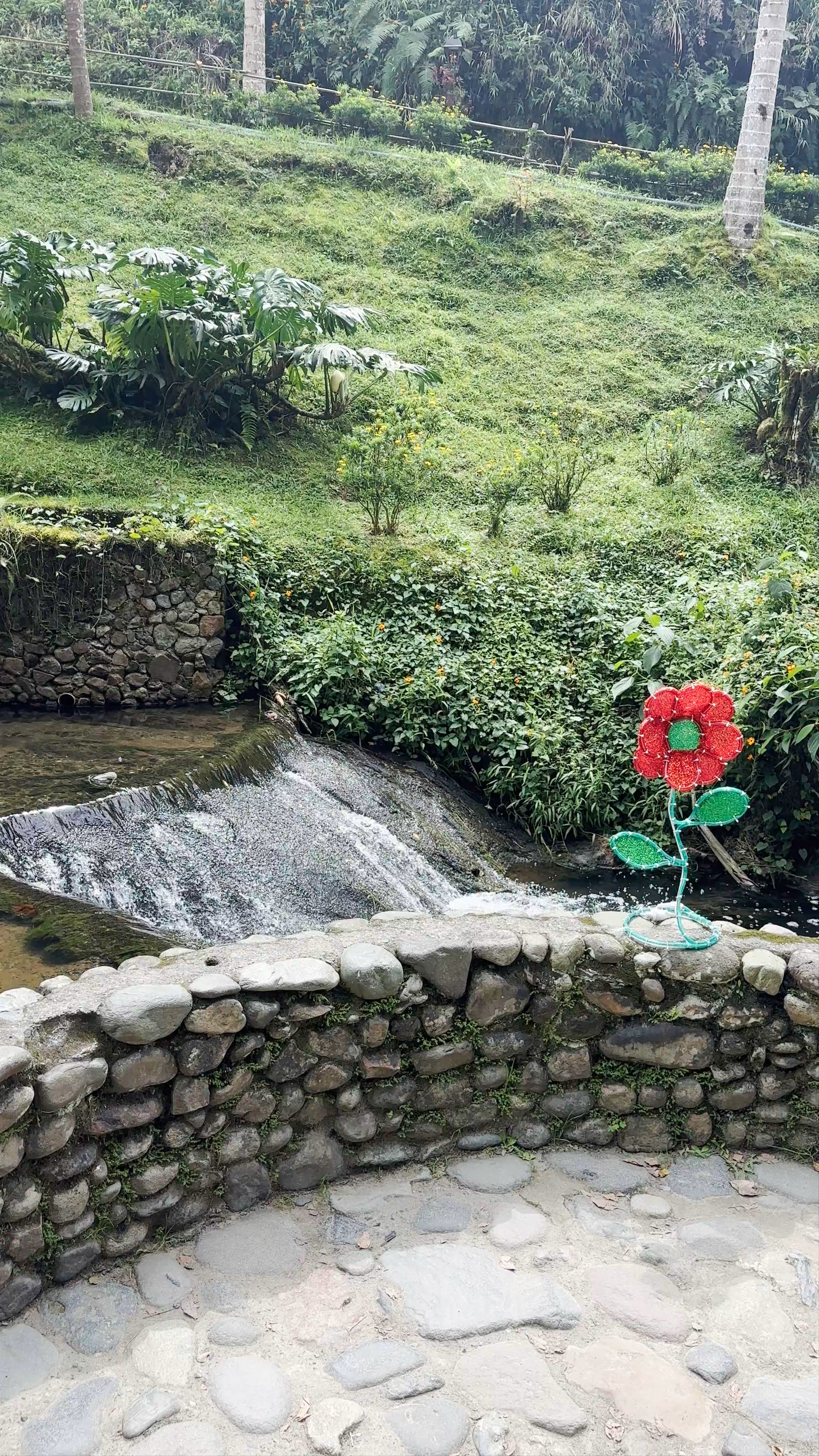 Soothing Waters and Lush Nature at Termales Santa Rosa de Cabal, Colombia