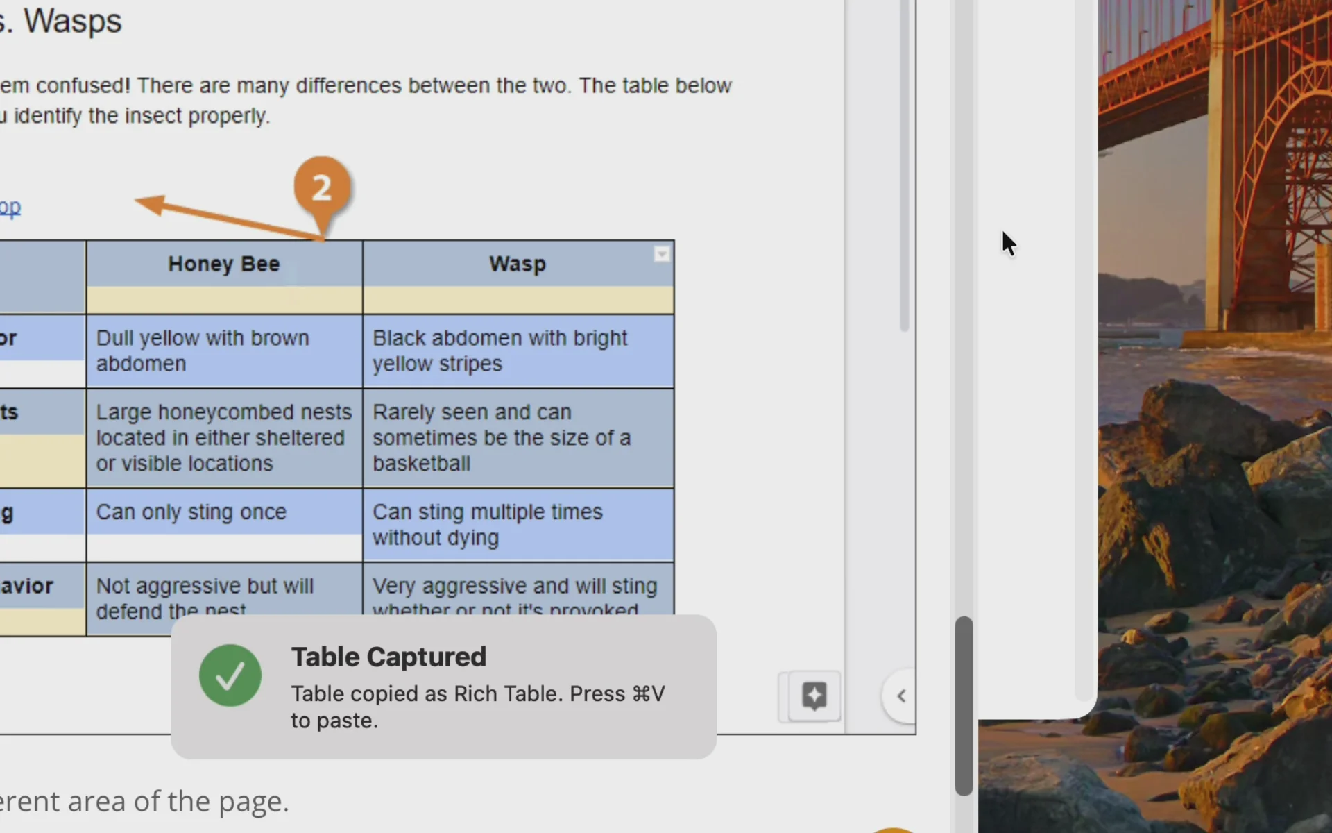 Textly – Capture Text & Tables image 1