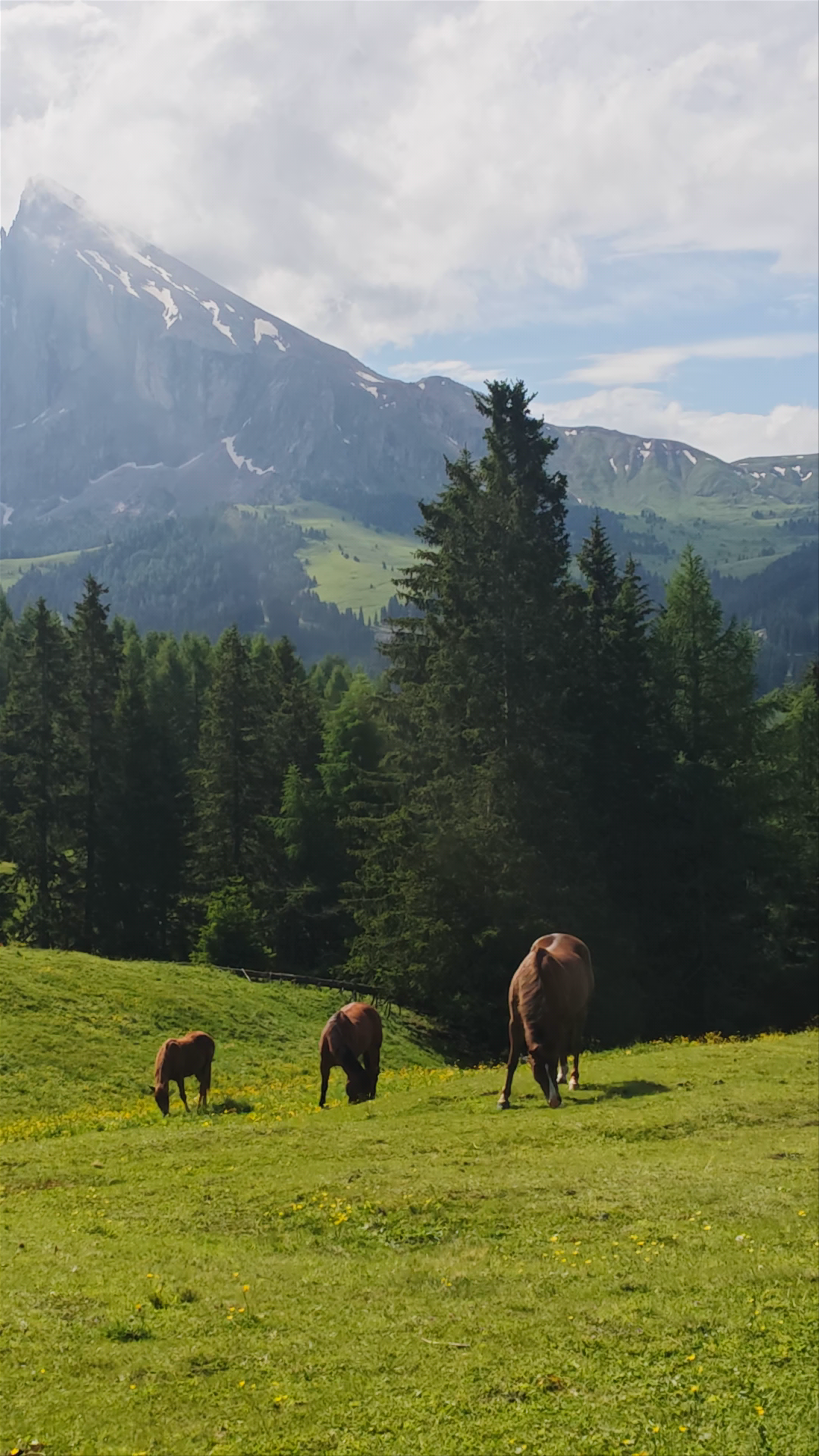 Panorama Alpe Siusi
