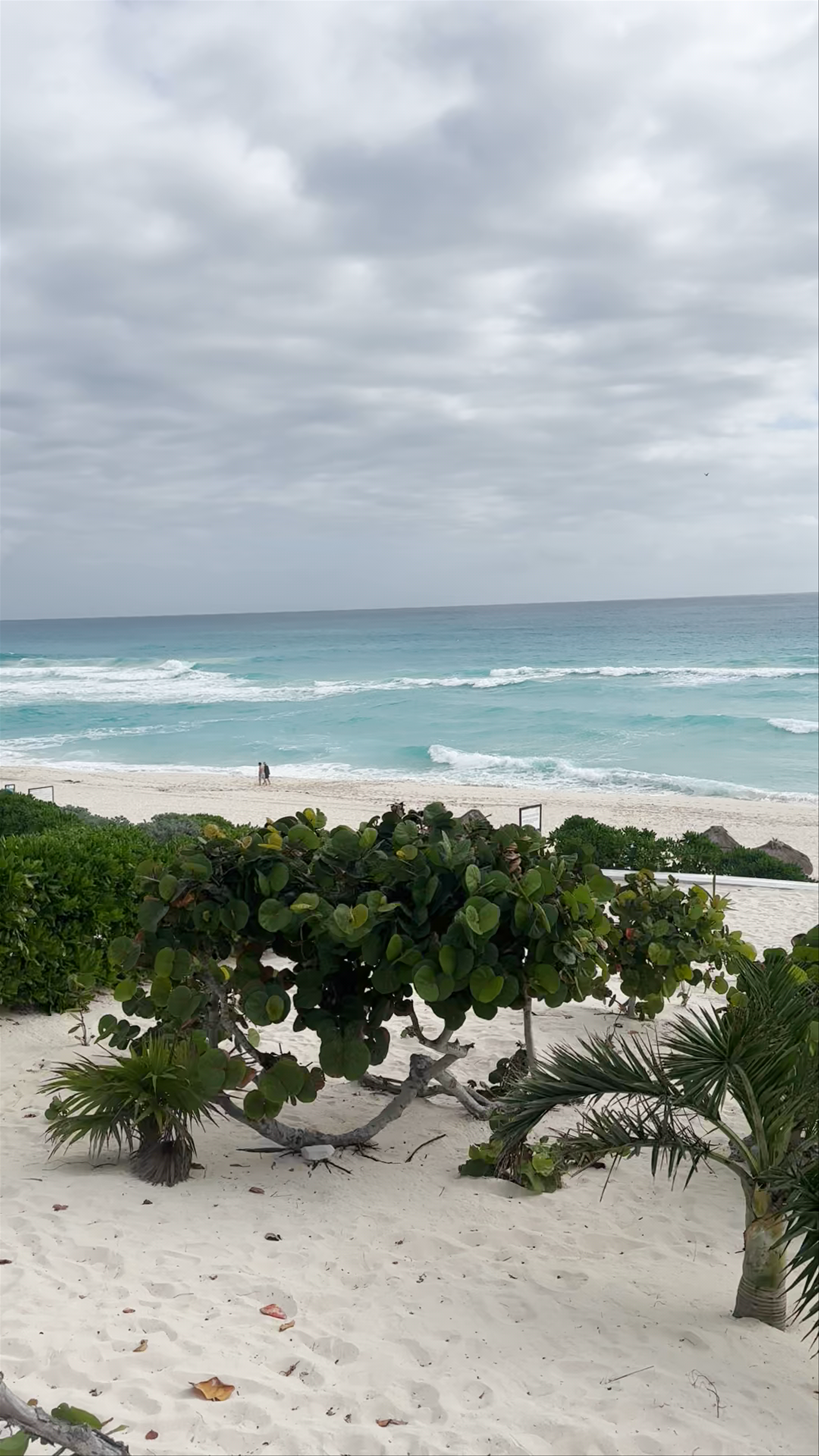 Playa Delfines: Moody Coastal Escape in Cancún
