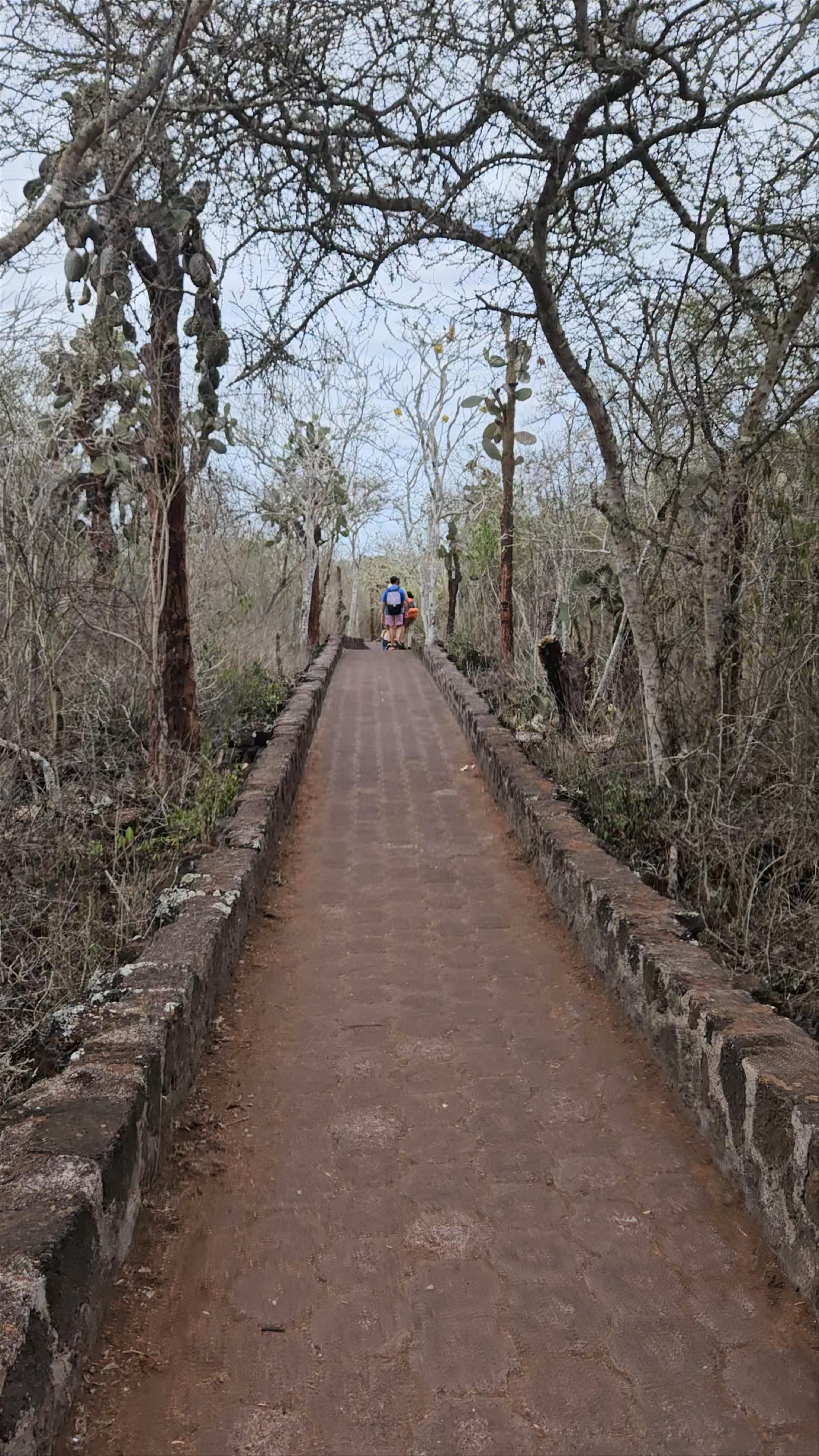 Exploring Galápagos National Park Trails in Puerto Ayora