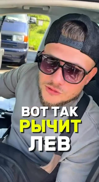 Вот так рычит лев