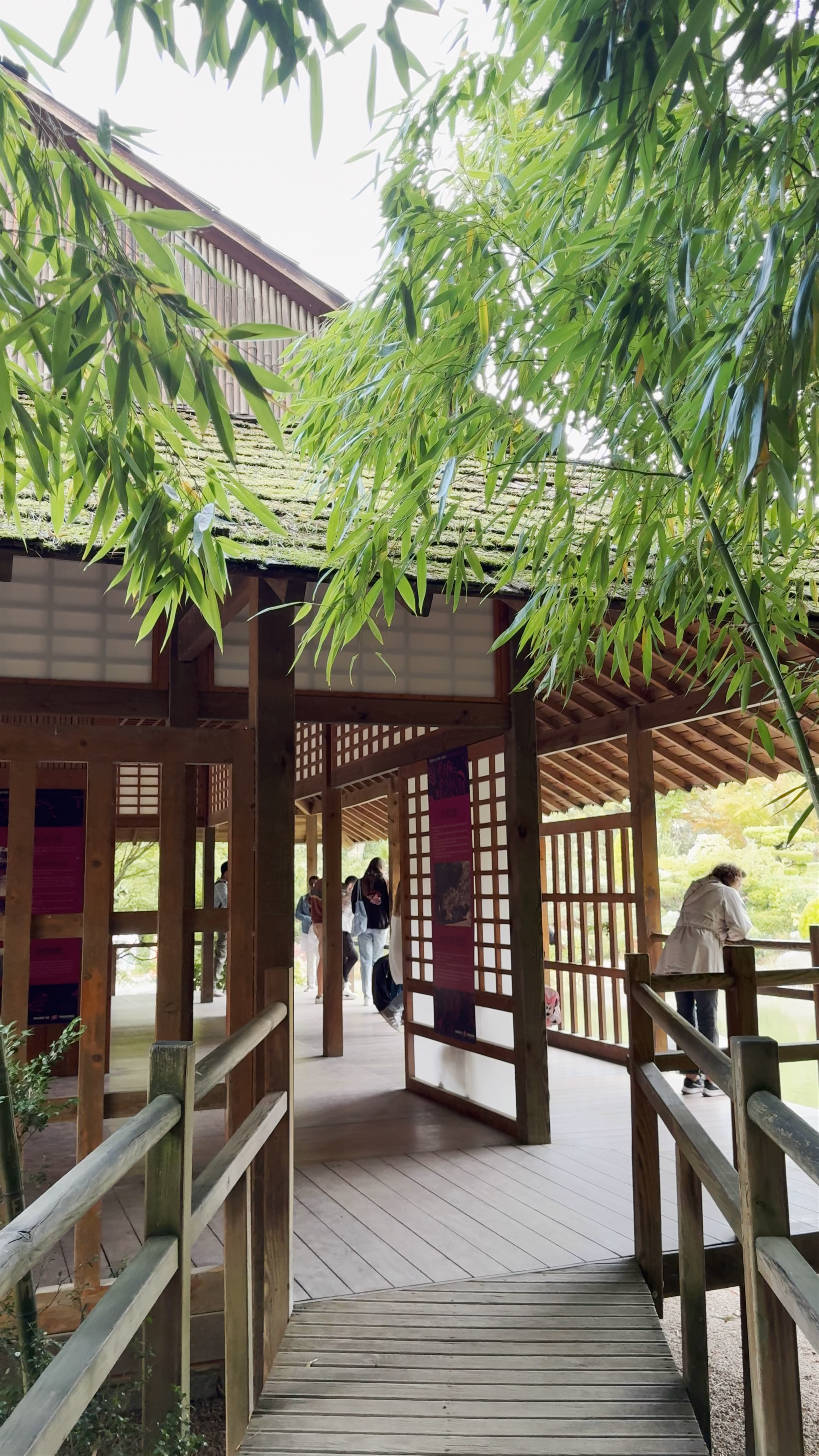 Jardin Japonais Pierre Baudis