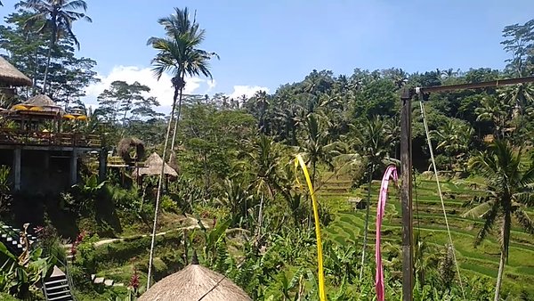 Photo of Bali Sightseeing