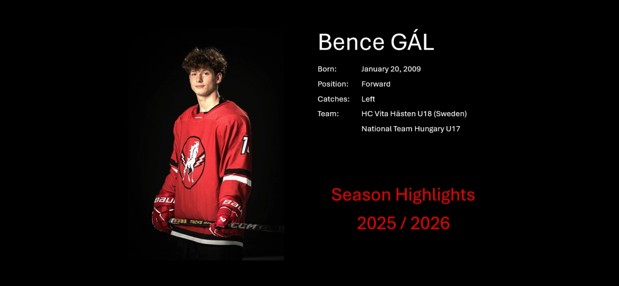 Bence Gál's Stellar Highlights: Goals, Assists & Showcase Success