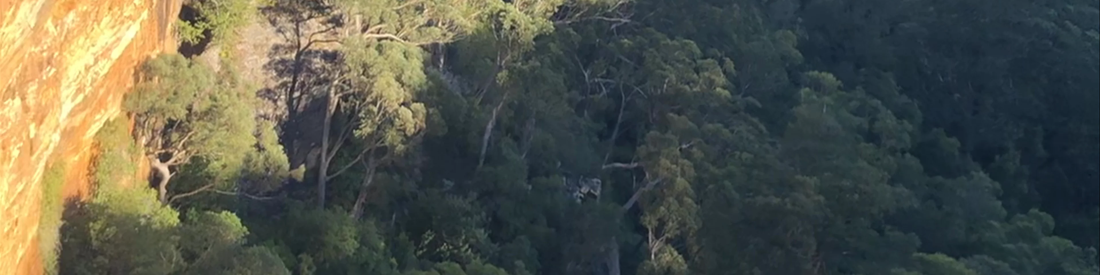 Fitzroy Falls Lookout