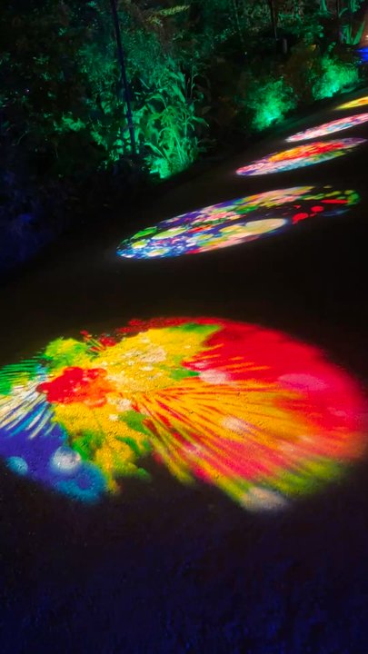 LIGHTSCAPE SAN DIEGO - Updated March 2026 - 327 Photos & 100 Reviews ...