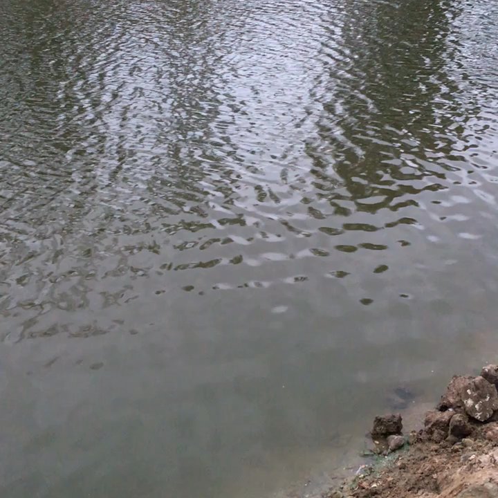 Libby Lake Park - Parks Near Me - Oceanside, California