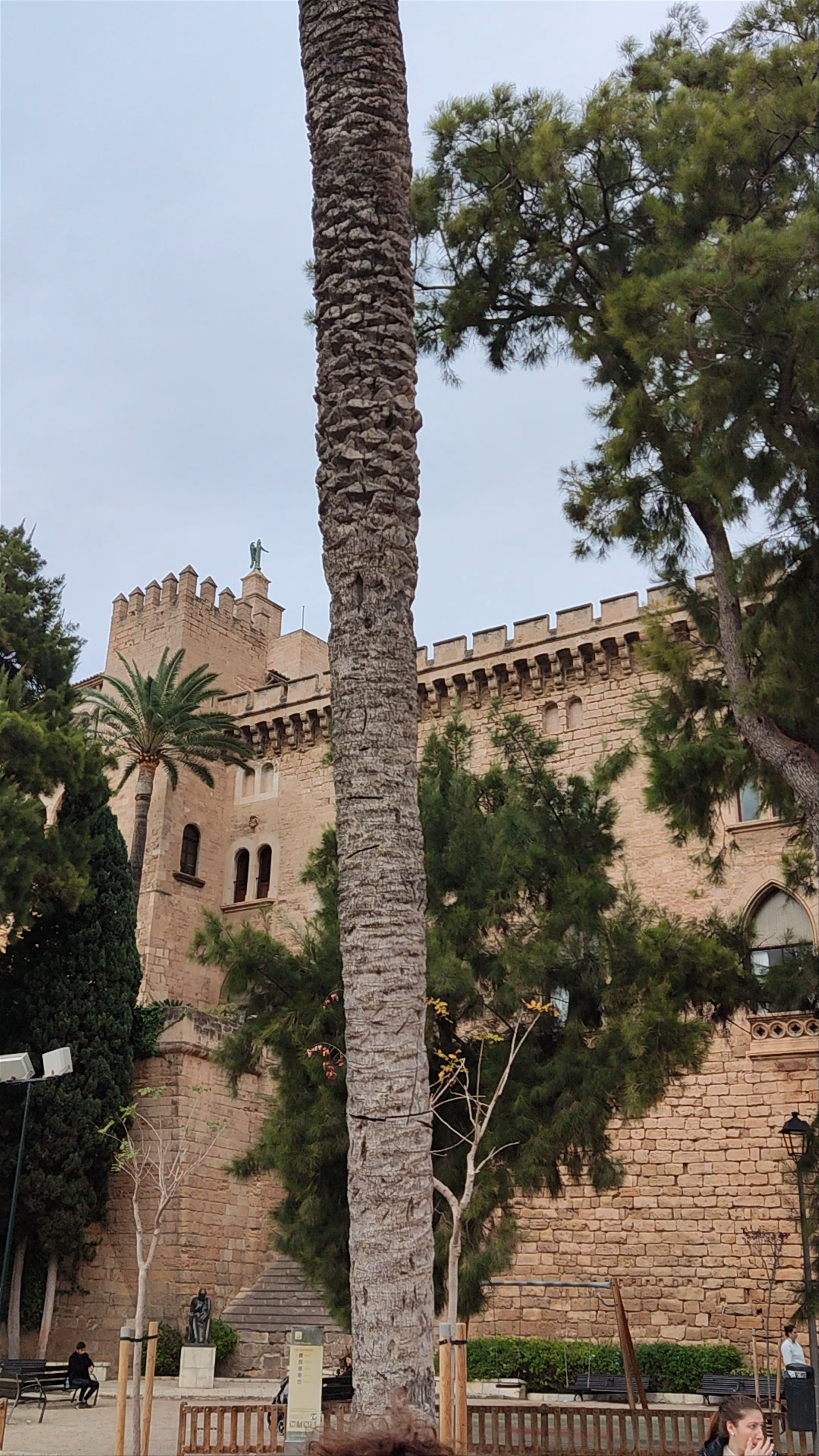 Catedral de Mallorca