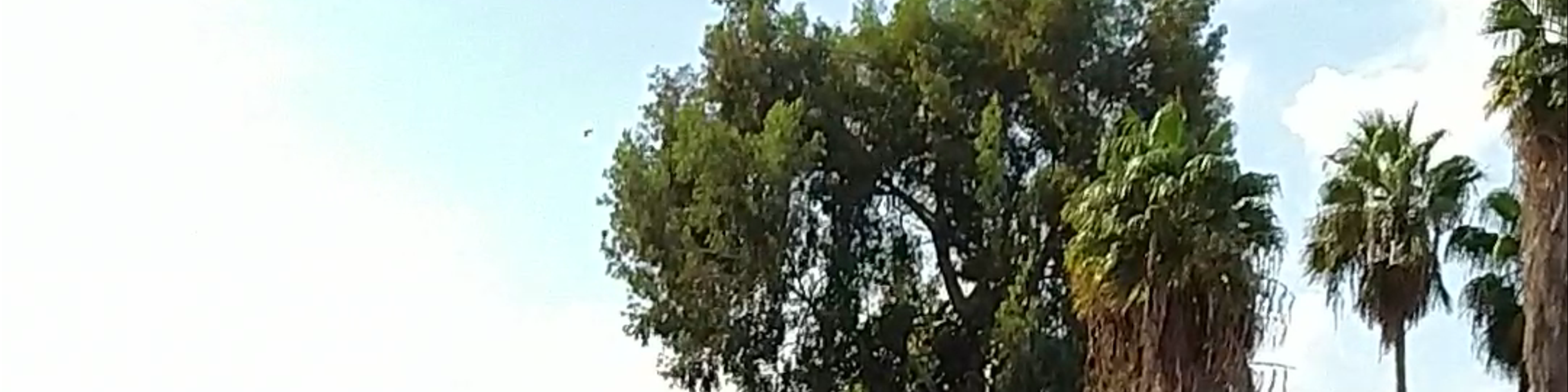 Tel Aviv
