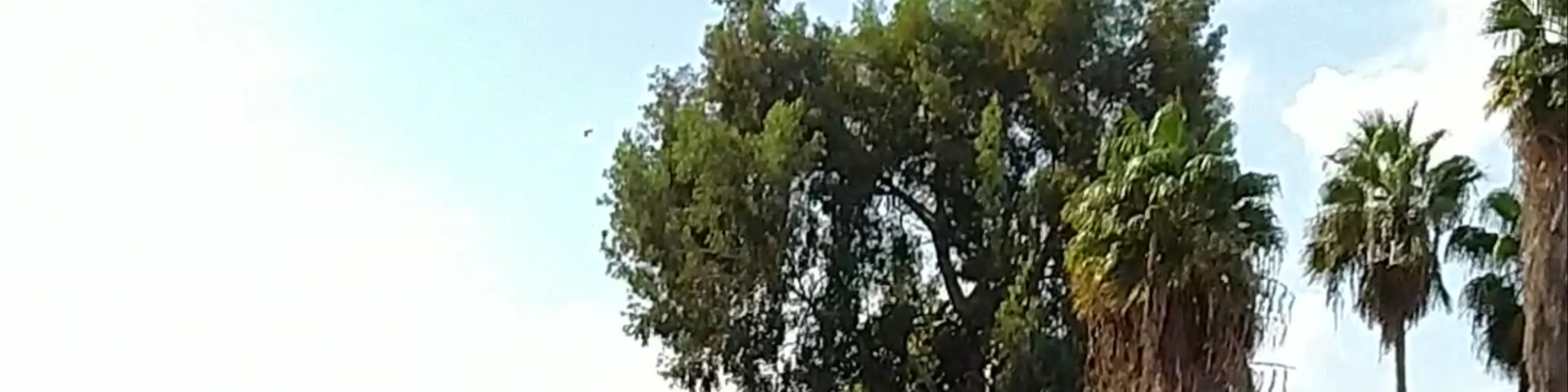 Cactus Garden, HaYarkon Park, Tel Aviv