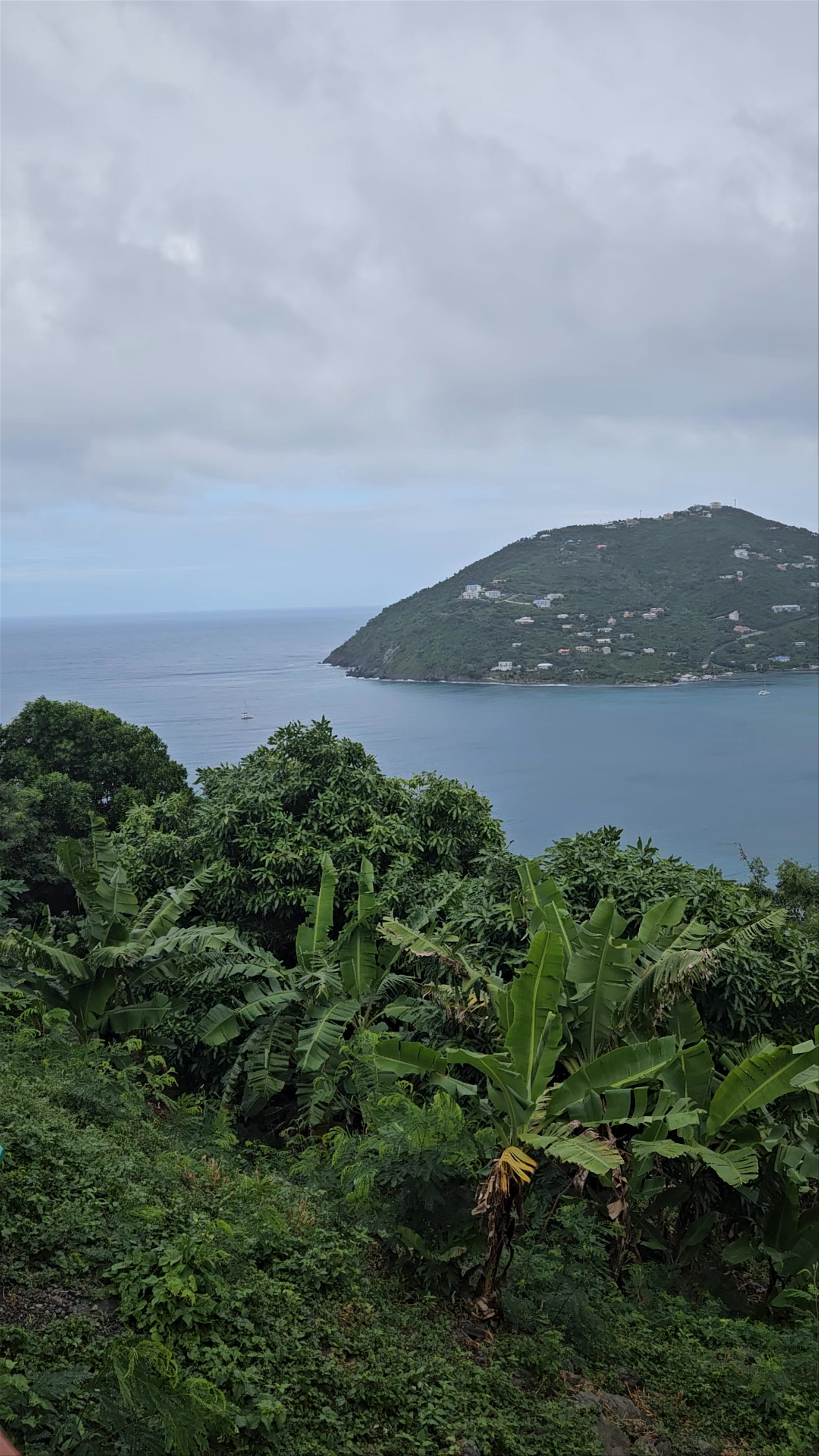 Stoutt's Lookout Bar
