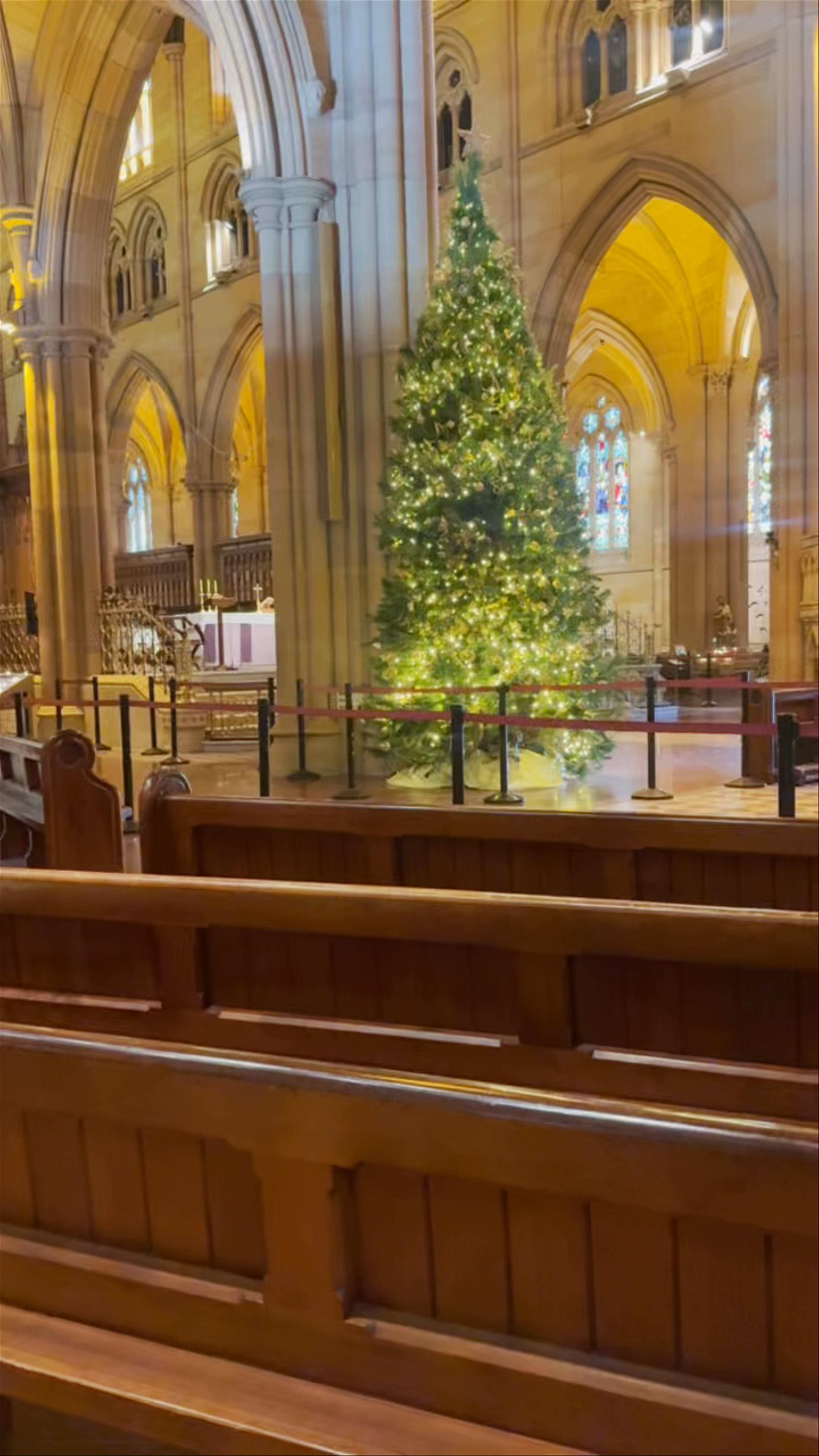 Christmas Serenity at St Mary's Cathedral, Sydney