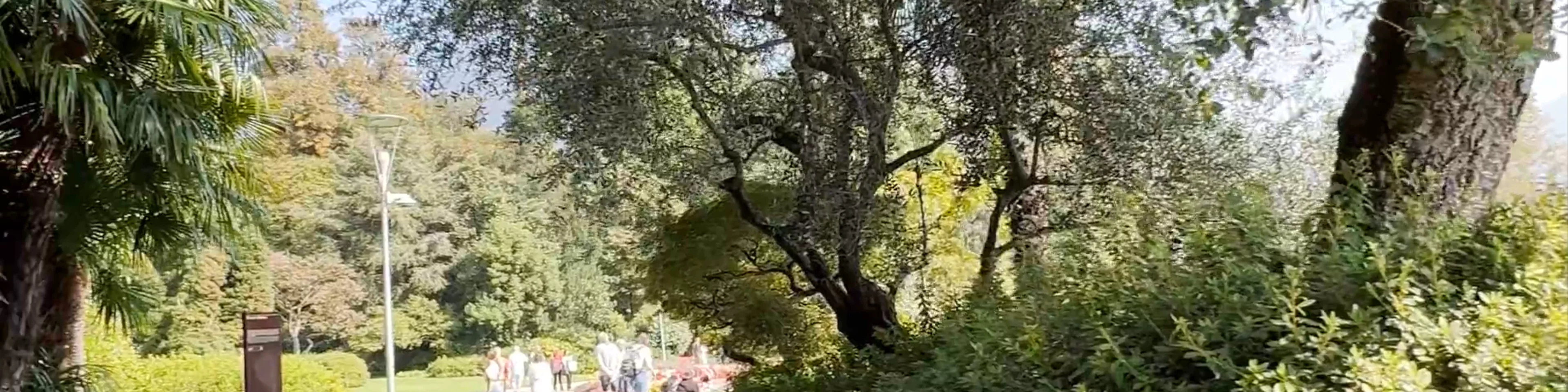 Parco Ciani