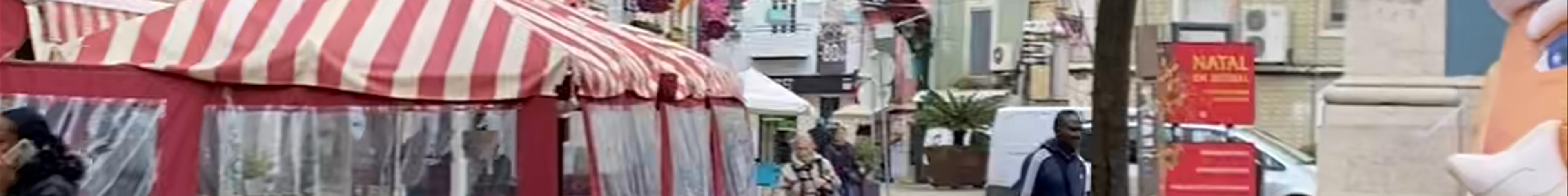 Tours & experiences in Setúbal