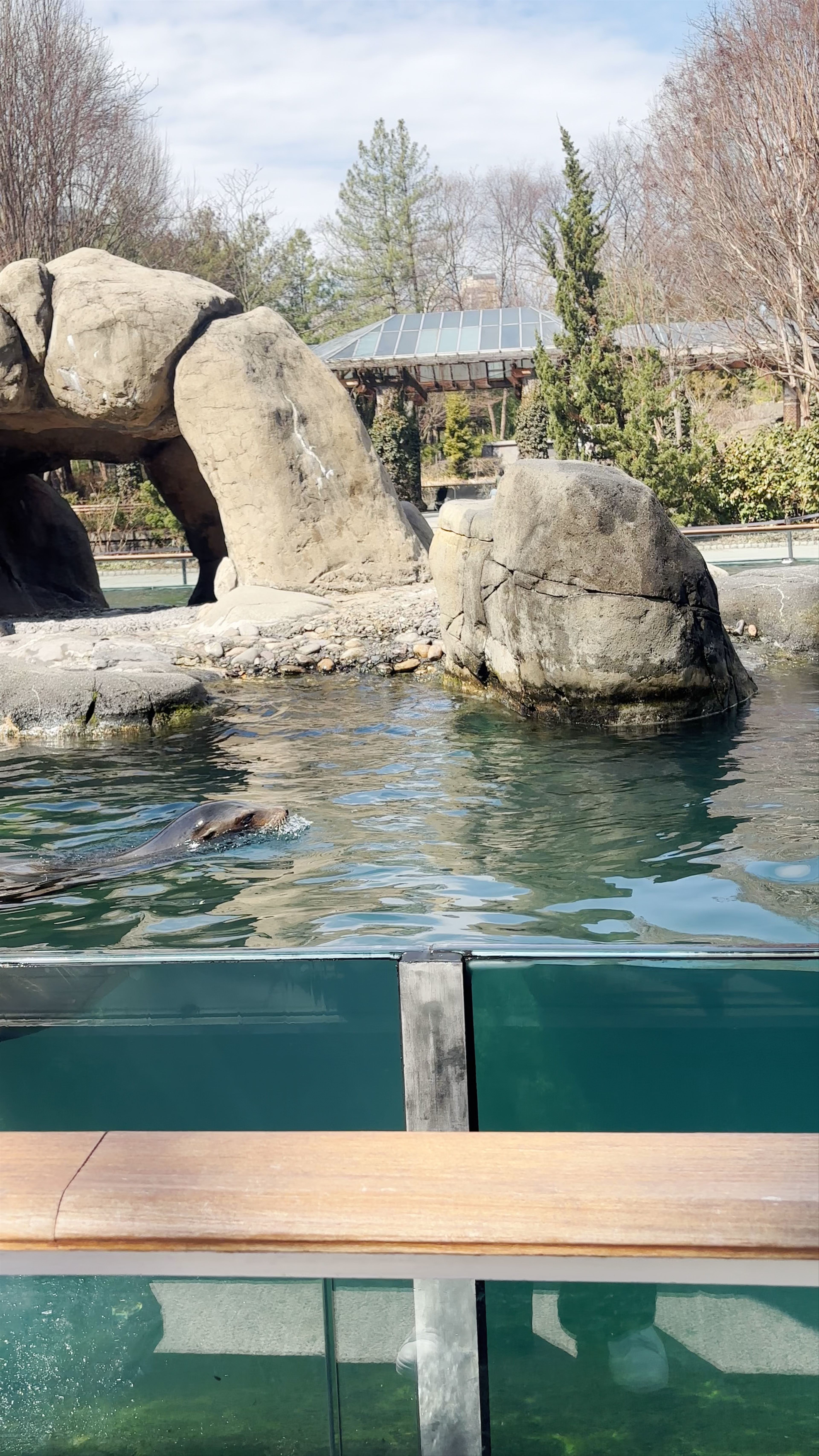 Zoológico de Central Park