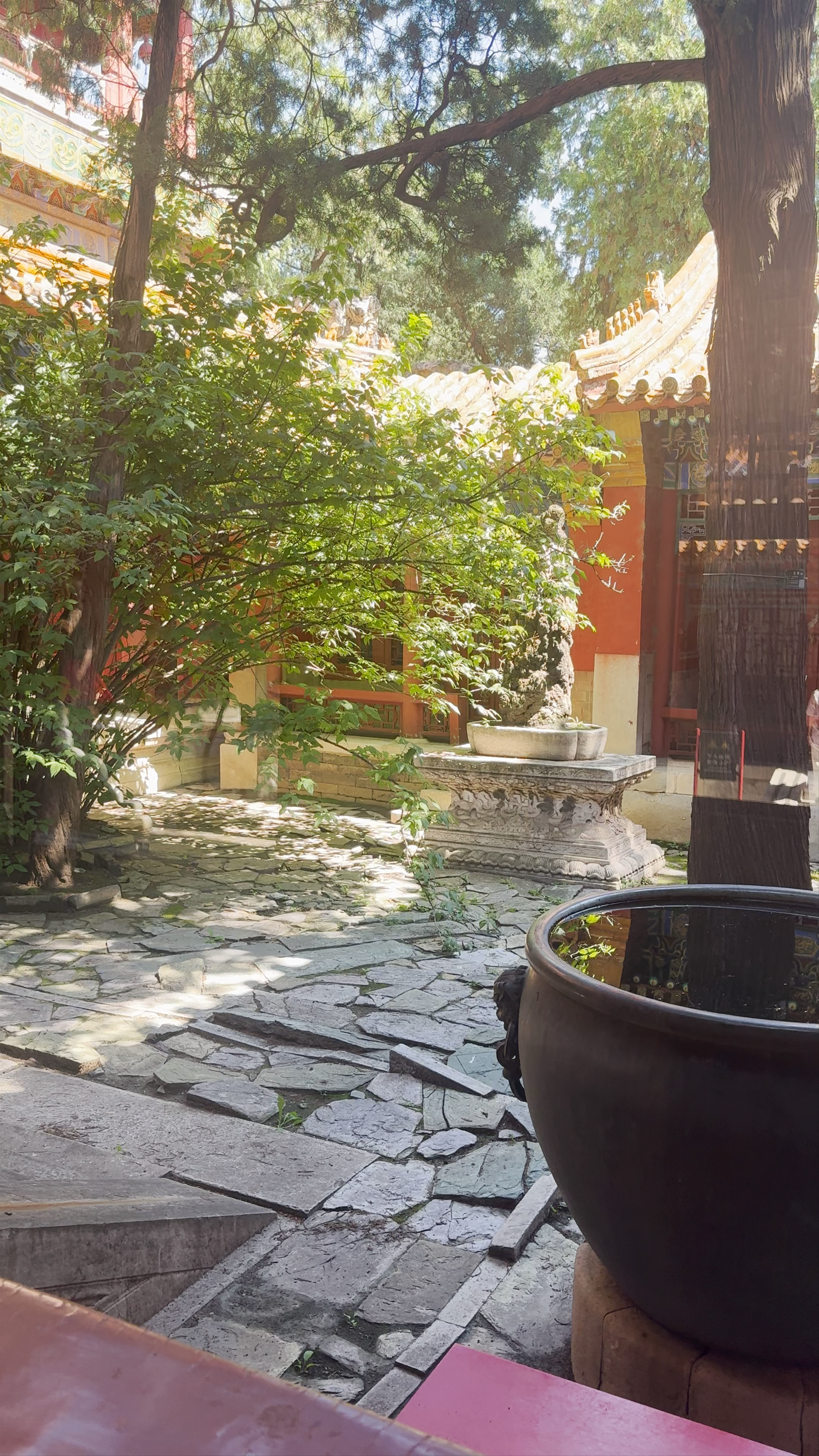 The Palace Museum