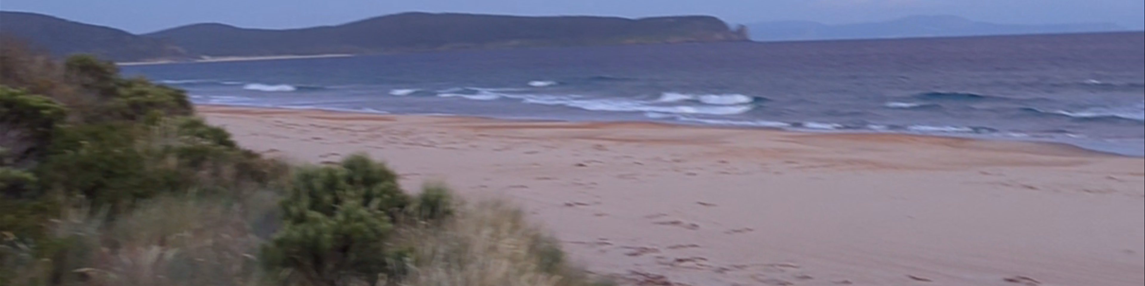 Tasmania