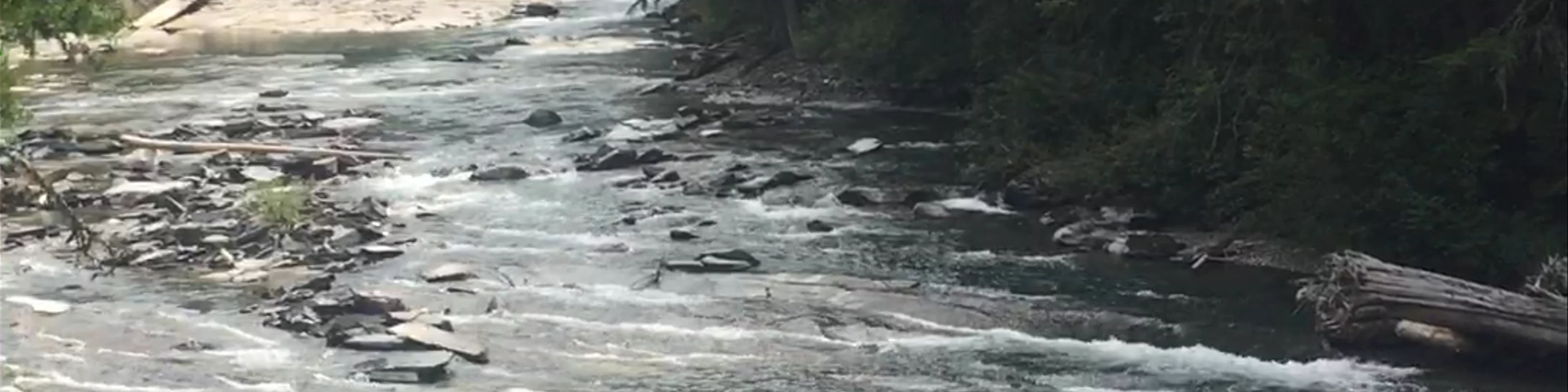 McDonald Creek