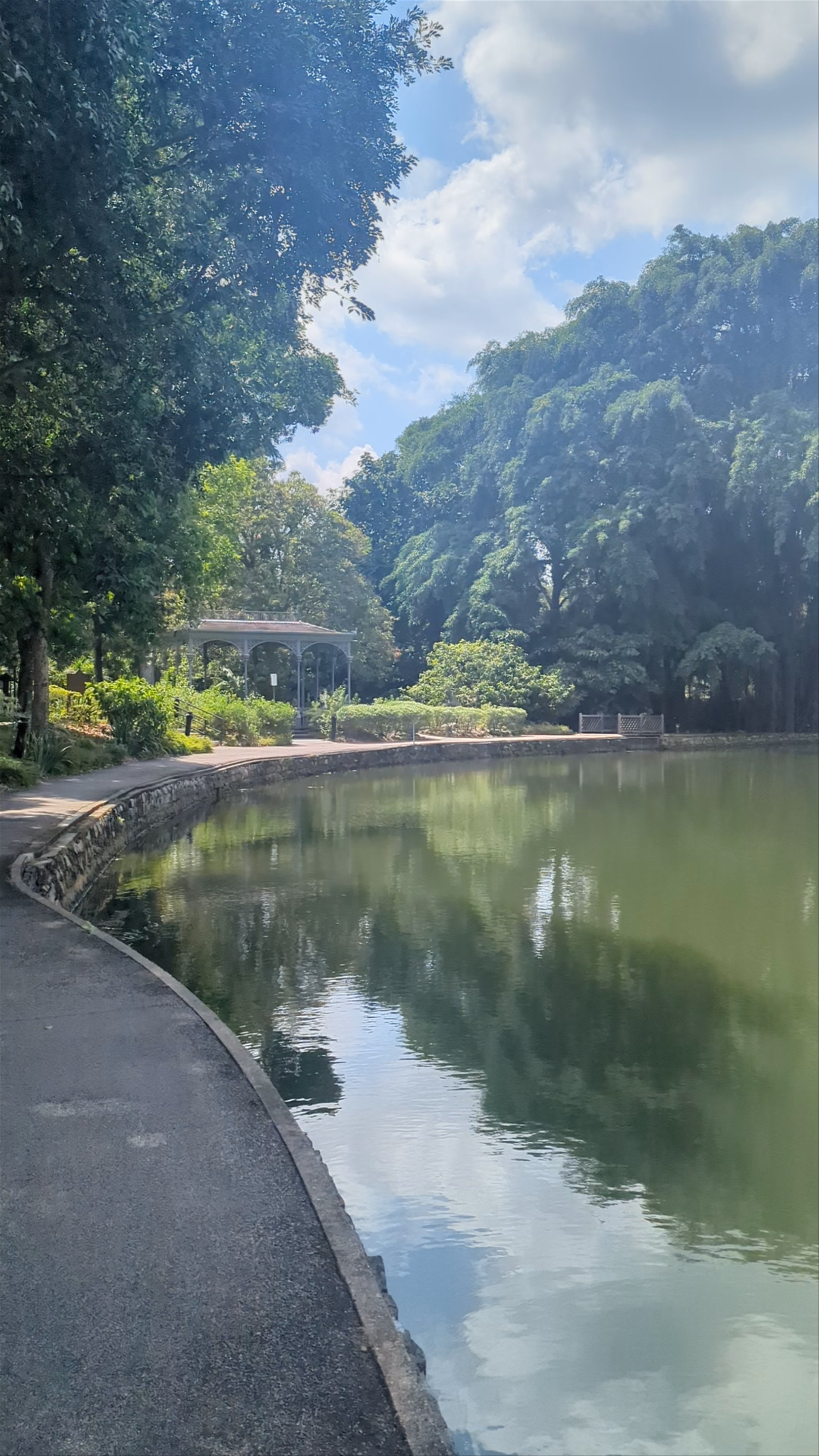 Serene Lakeside Walk at Botanic Gardens, Singapore
